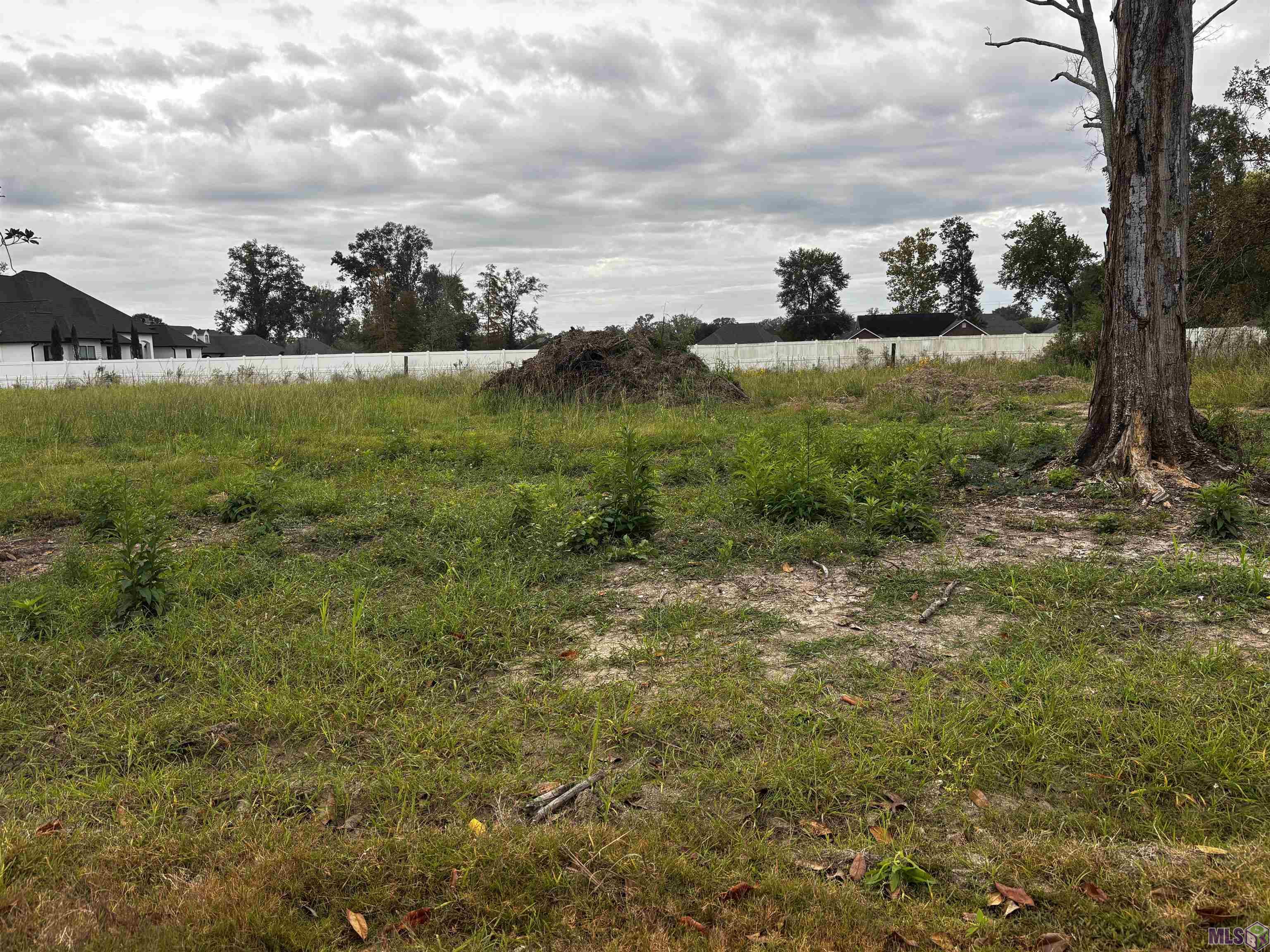 4-d-3 Courtney Road Gonzales, LA 70737 - Photo 3 of 3 Gallery Image 3