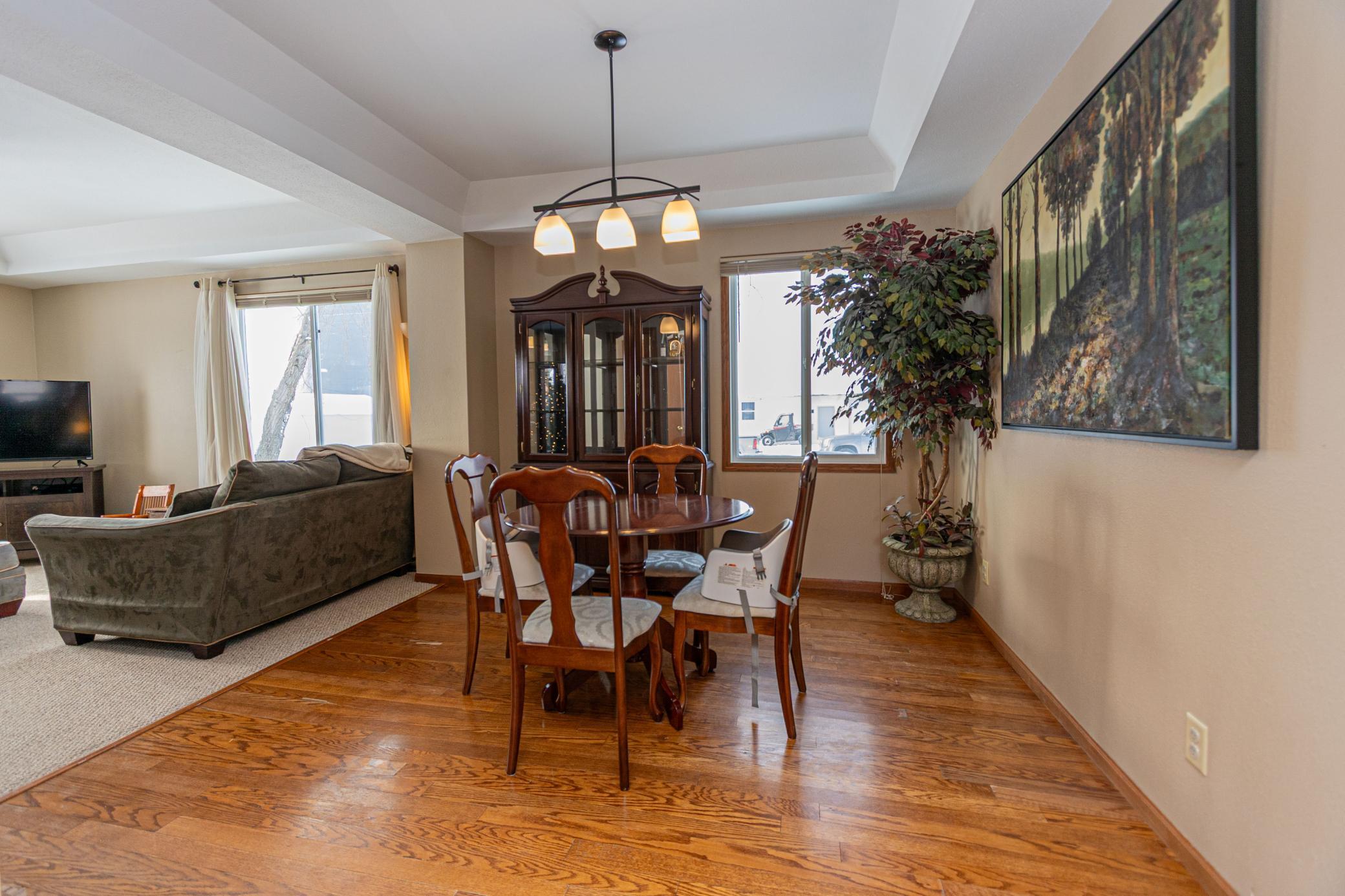 301 Nelson Street Cyrus, MN 56323 - Photo 11 of 42