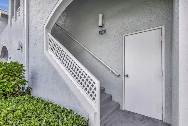 a view of a park with palm trees