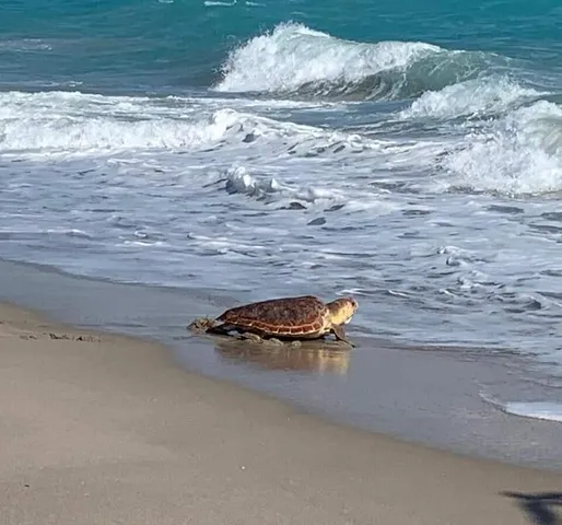 $850,000 | 1501 Mizzenmast Way, Jupiter, FL 33477