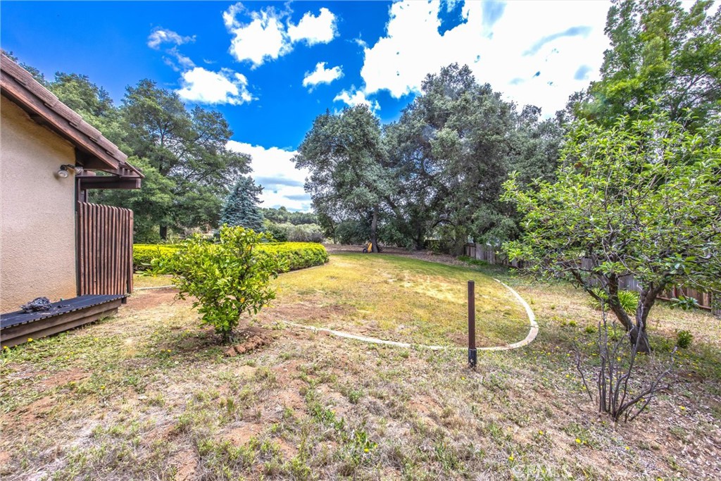 37295 Oak View Road Yucaipa, CA 92399 - Photo 41 of 59 a view of a backyard