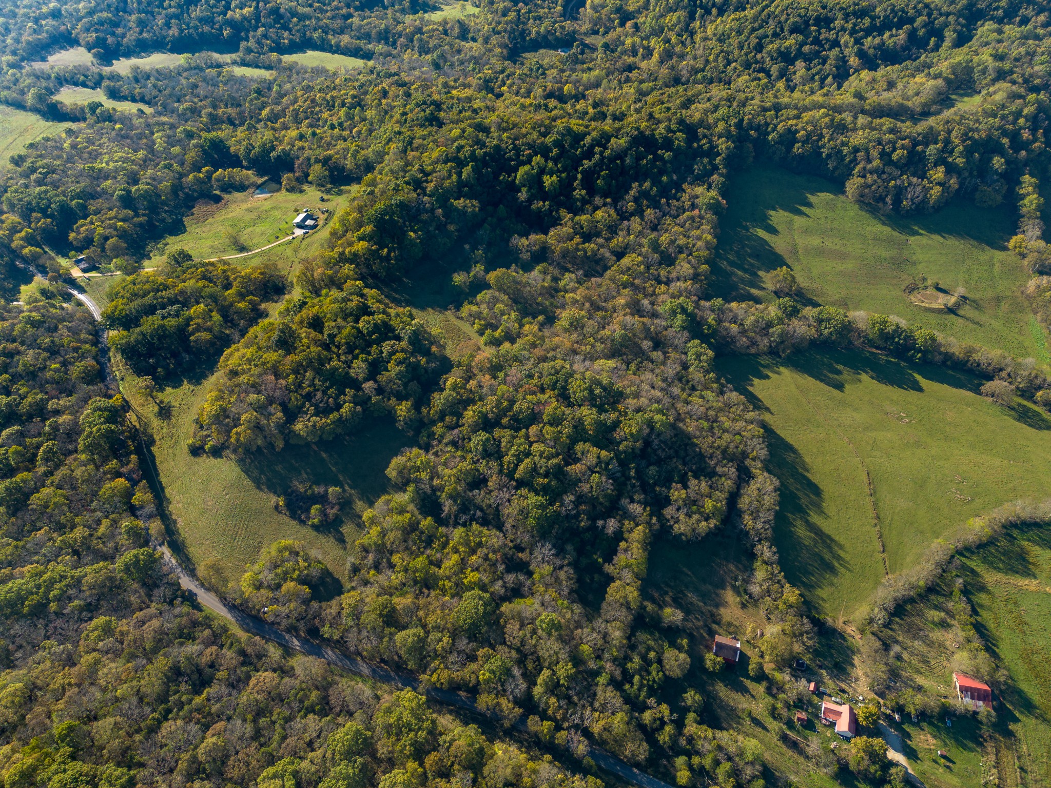 1 Booker Farm Road Mount Pleasant, TN 38474 - Photo 11 of 70 Gallery Image 11