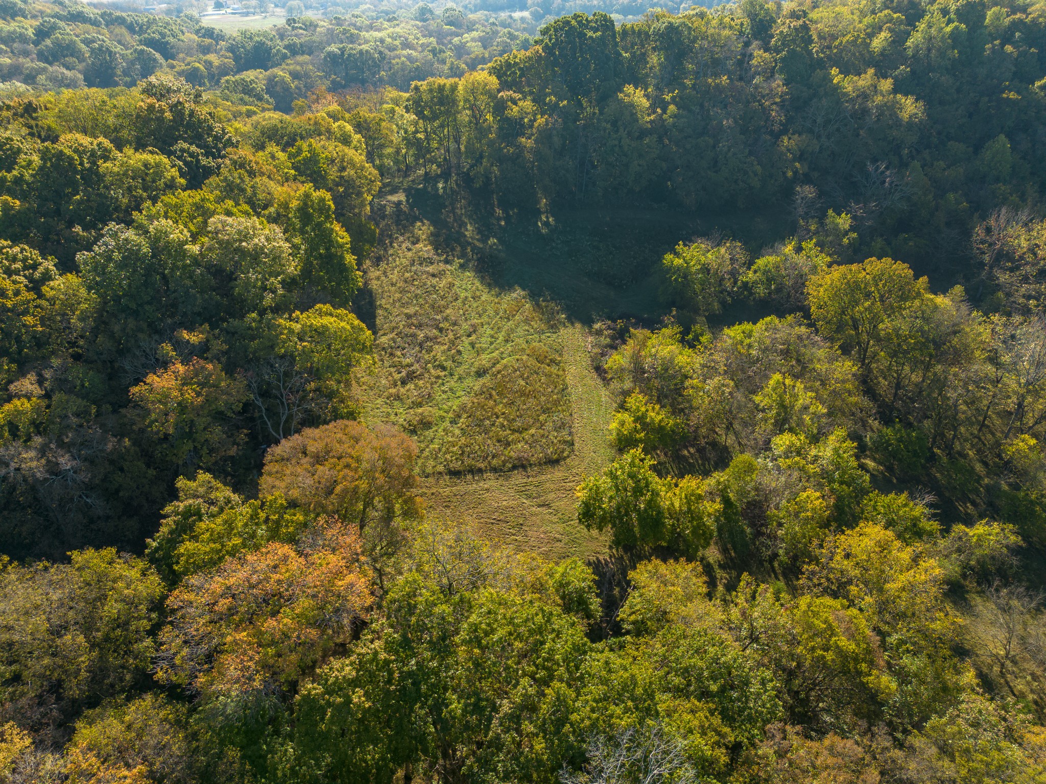 1 Booker Farm Road Mount Pleasant, TN 38474 - Photo 20 of 70 Gallery Image 20