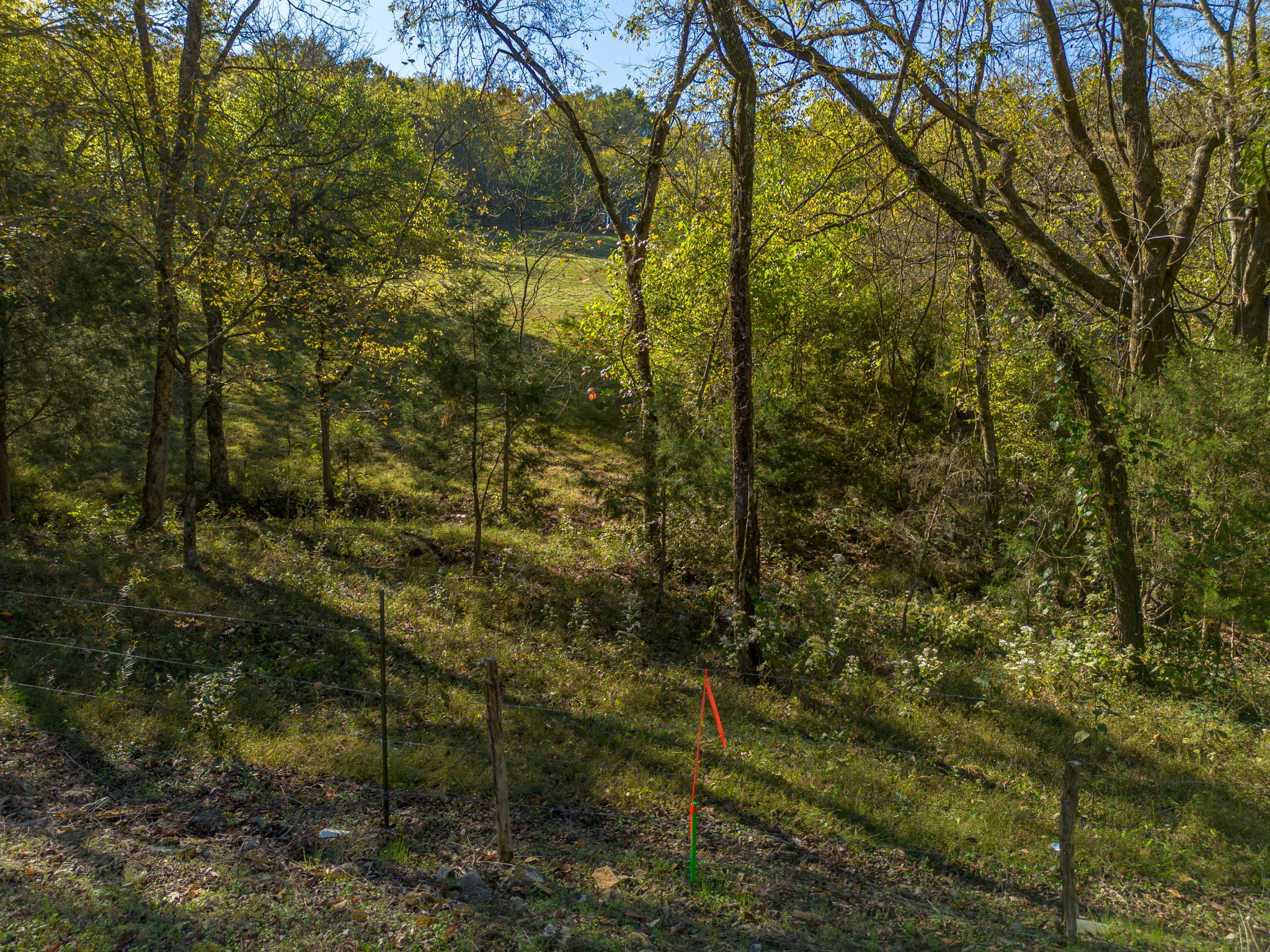 1 Booker Farm Road Mount Pleasant, TN 38474 - Photo 31 of 70 Gallery Image 31
