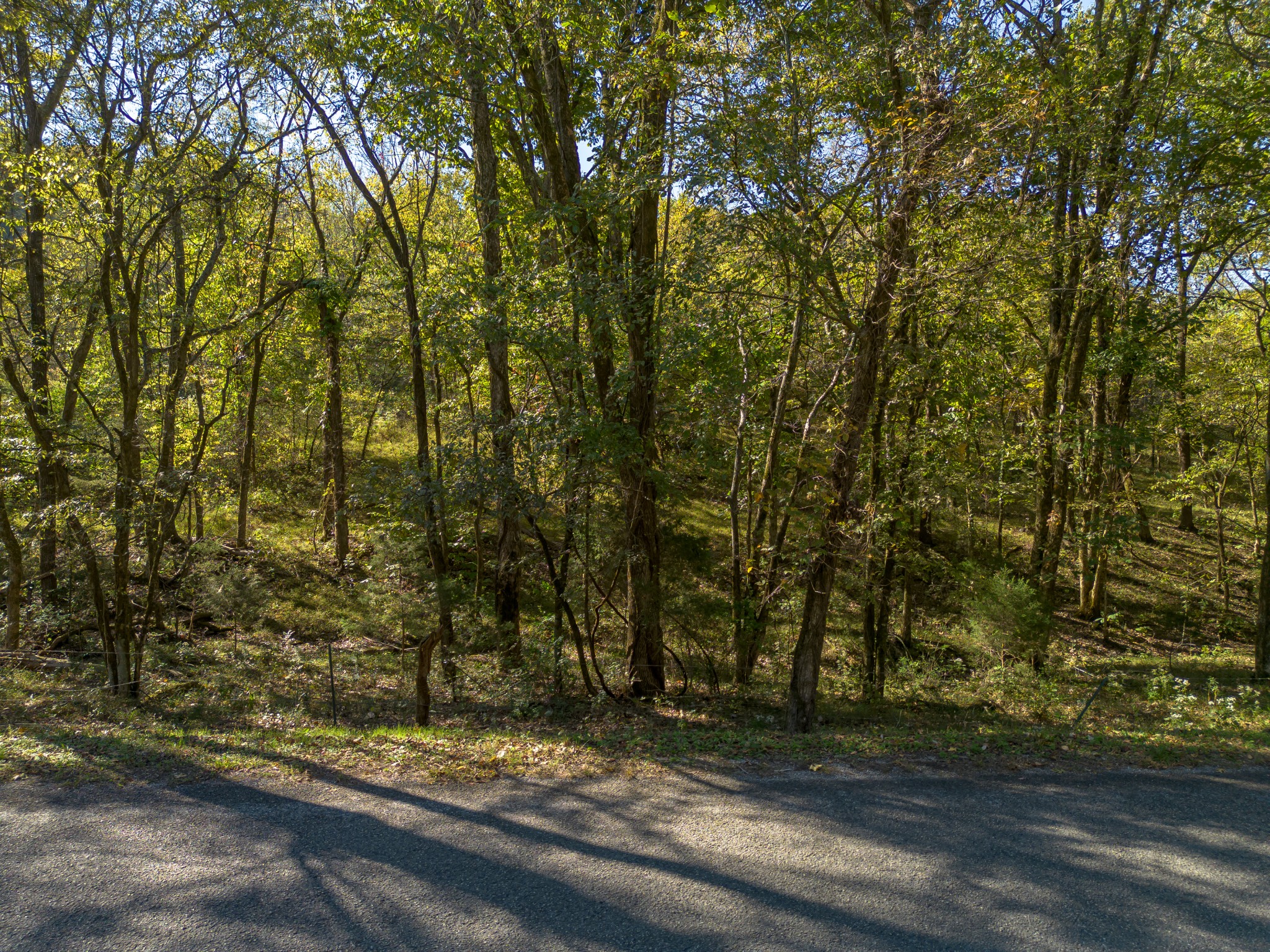 1 Booker Farm Road Mount Pleasant, TN 38474 - Photo 34 of 70 Gallery Image 34