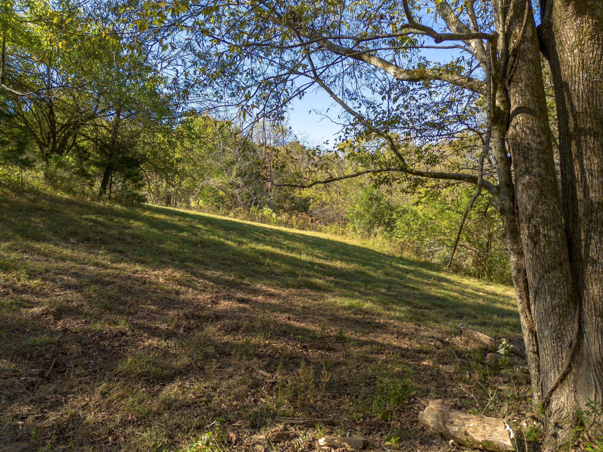 1 Booker Farm Road Mount Pleasant, TN 38474 - Photo 36 of 70 Gallery Image 36
