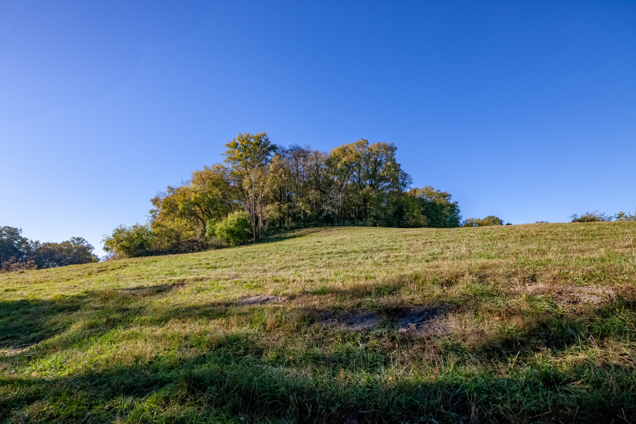 1 Booker Farm Road Mount Pleasant, TN 38474 - Photo 37 of 70 Gallery Image 37