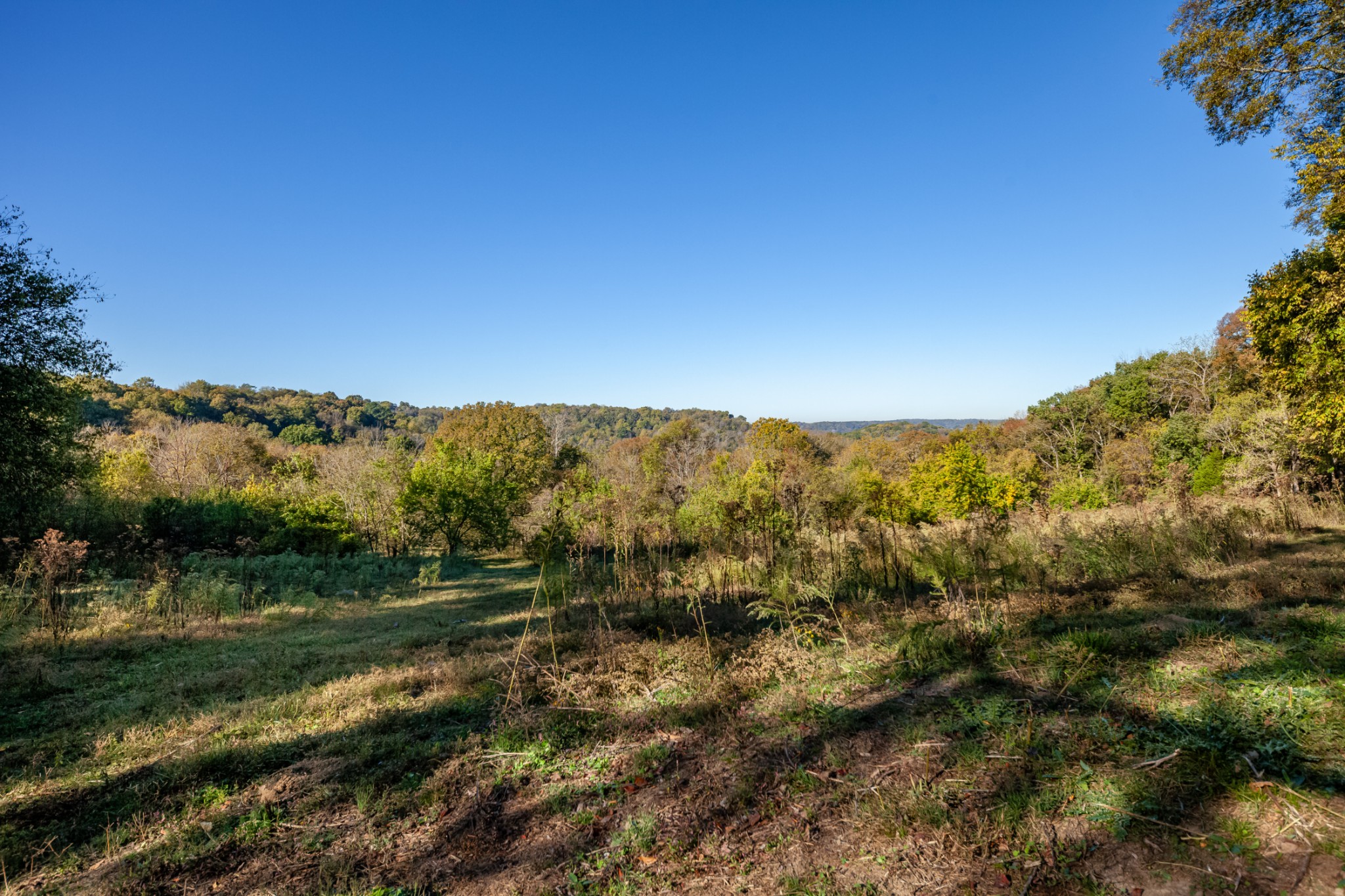 1 Booker Farm Road Mount Pleasant, TN 38474 - Photo 38 of 70 Gallery Image 38