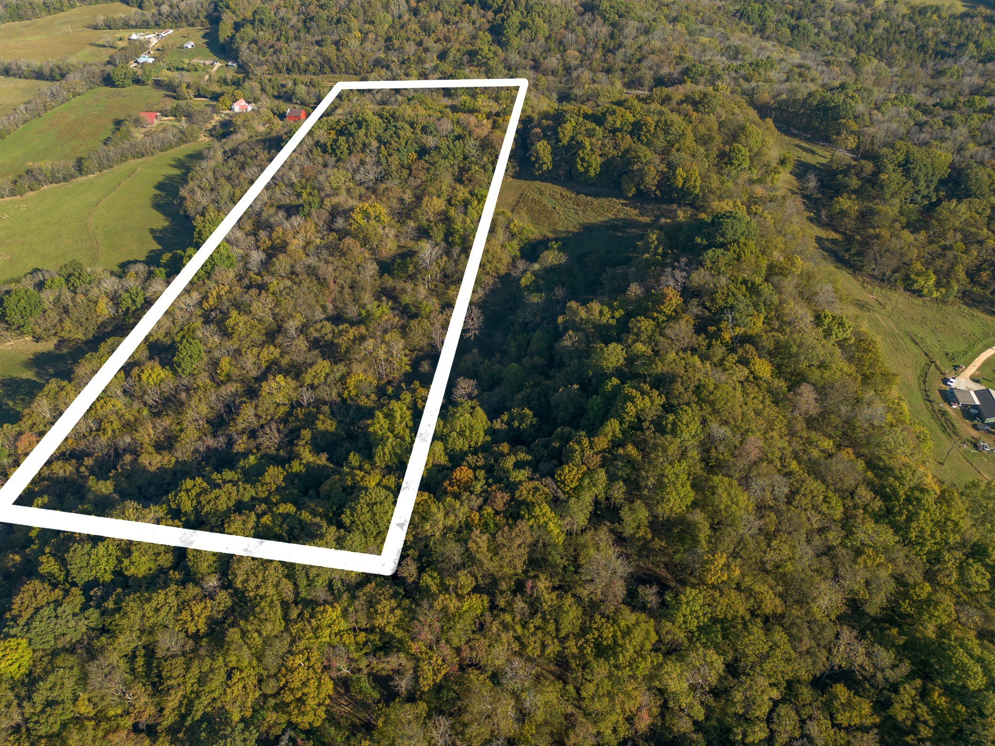 1 Booker Farm Road Mount Pleasant, TN 38474 - Photo 4 of 70 Gallery Image 4
