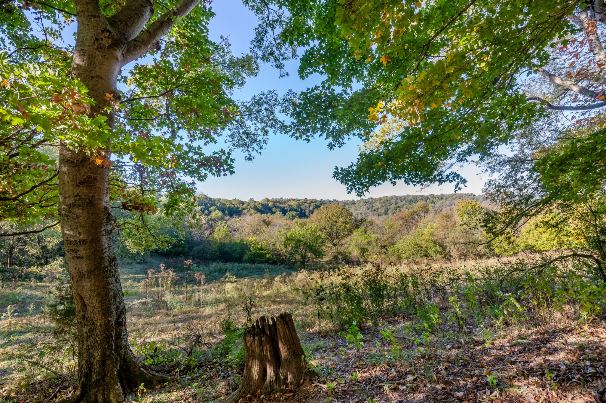 1 Booker Farm Road Mount Pleasant, TN 38474 - Photo 42 of 70 Gallery Image 42