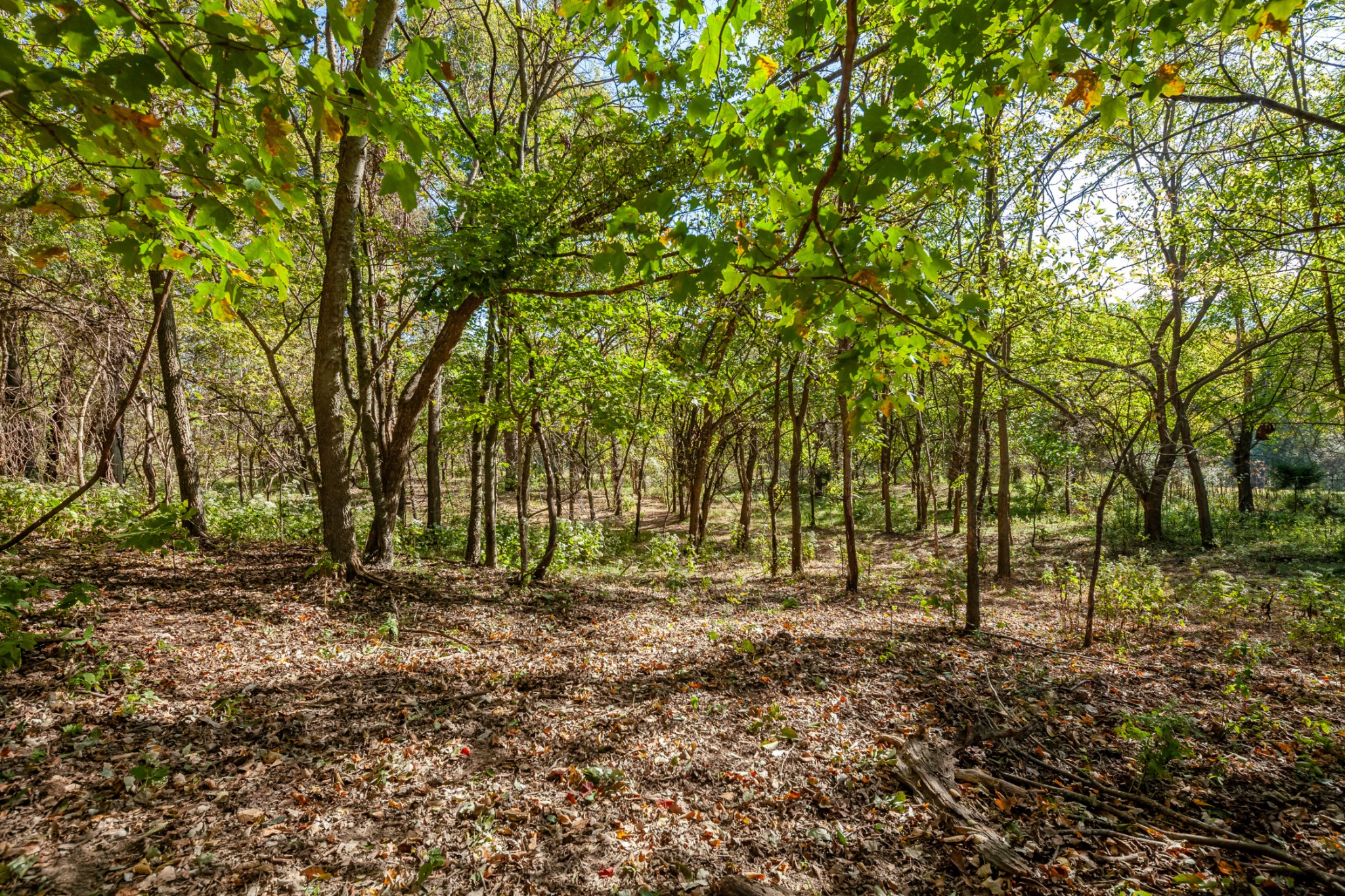 1 Booker Farm Road Mount Pleasant, TN 38474 - Photo 43 of 70 Gallery Image 43