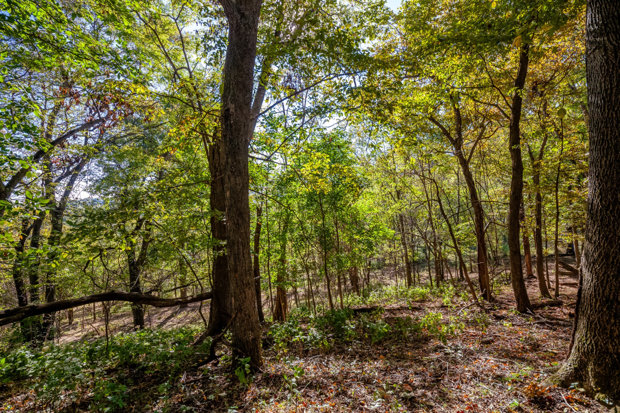 1 Booker Farm Road Mount Pleasant, TN 38474 - Photo 45 of 70 Gallery Image 45