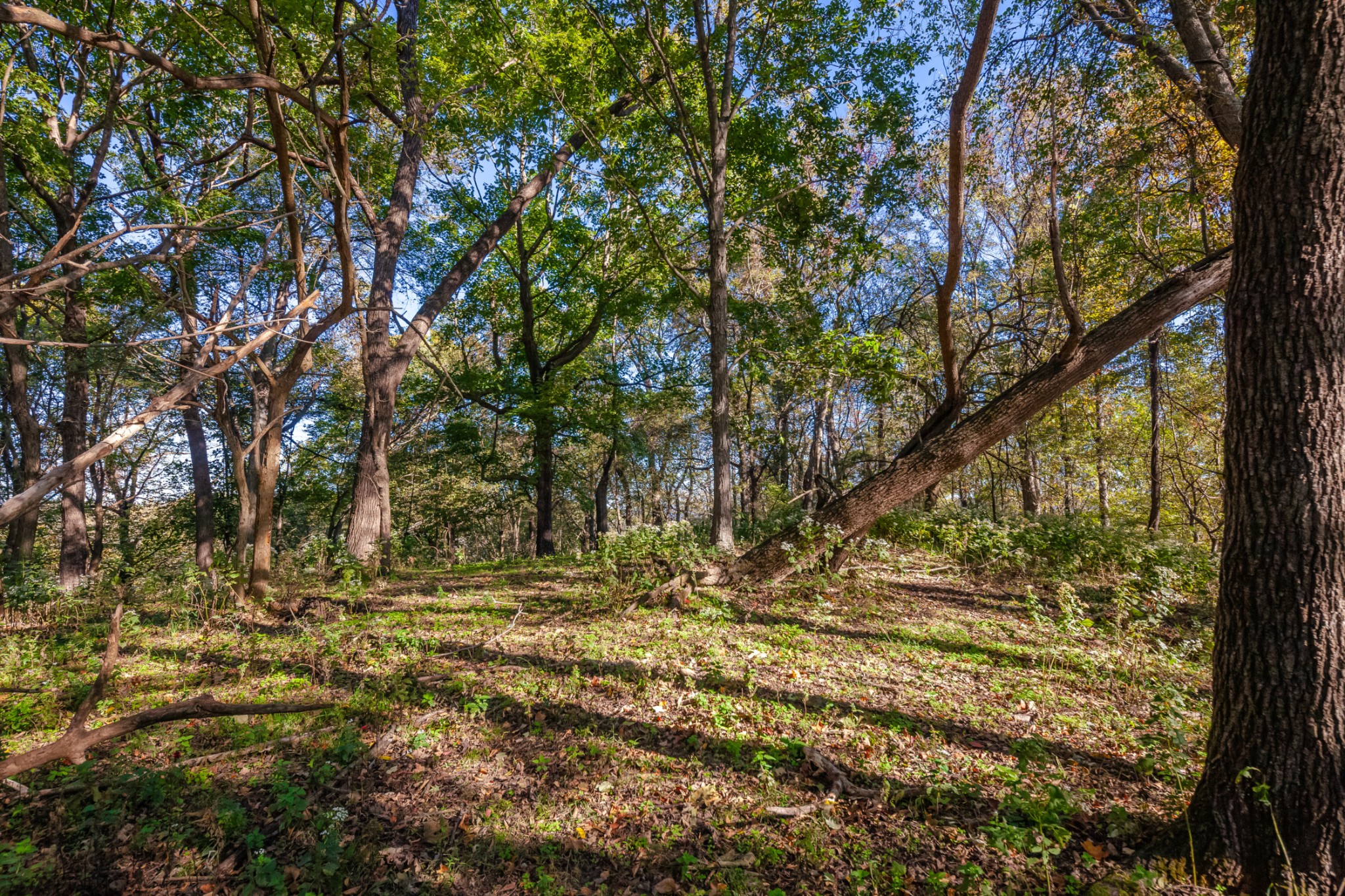 1 Booker Farm Road Mount Pleasant, TN 38474 - Photo 46 of 70 Gallery Image 46