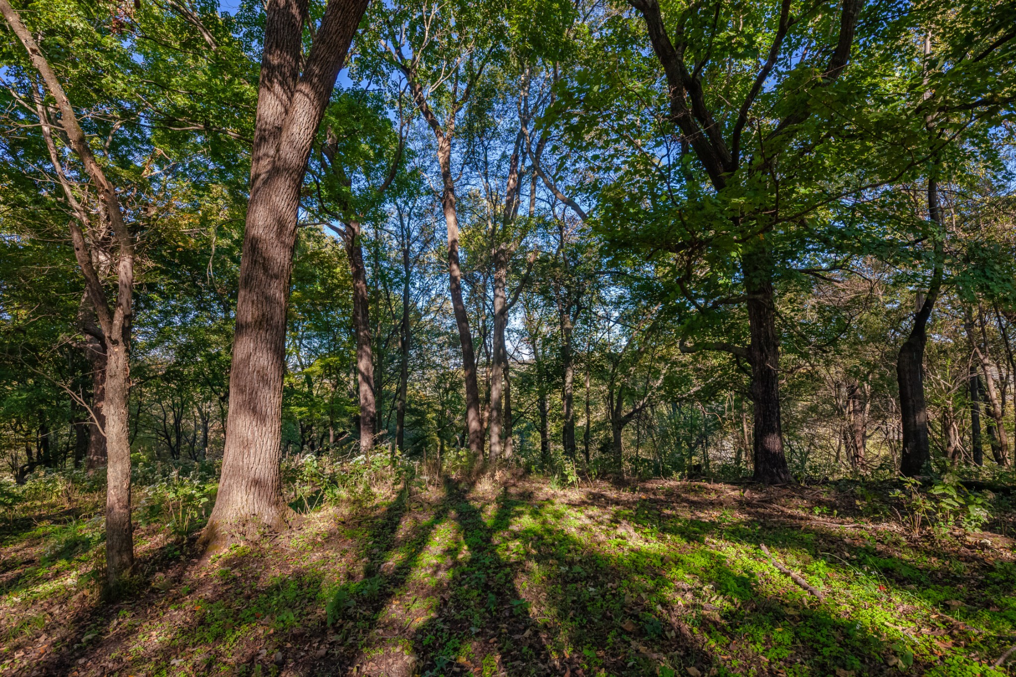 1 Booker Farm Road Mount Pleasant, TN 38474 - Photo 47 of 70 Gallery Image 47