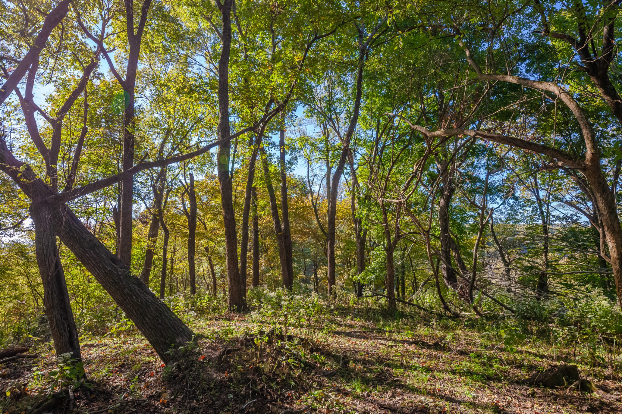 1 Booker Farm Road Mount Pleasant, TN 38474 - Photo 49 of 70 Gallery Image 49