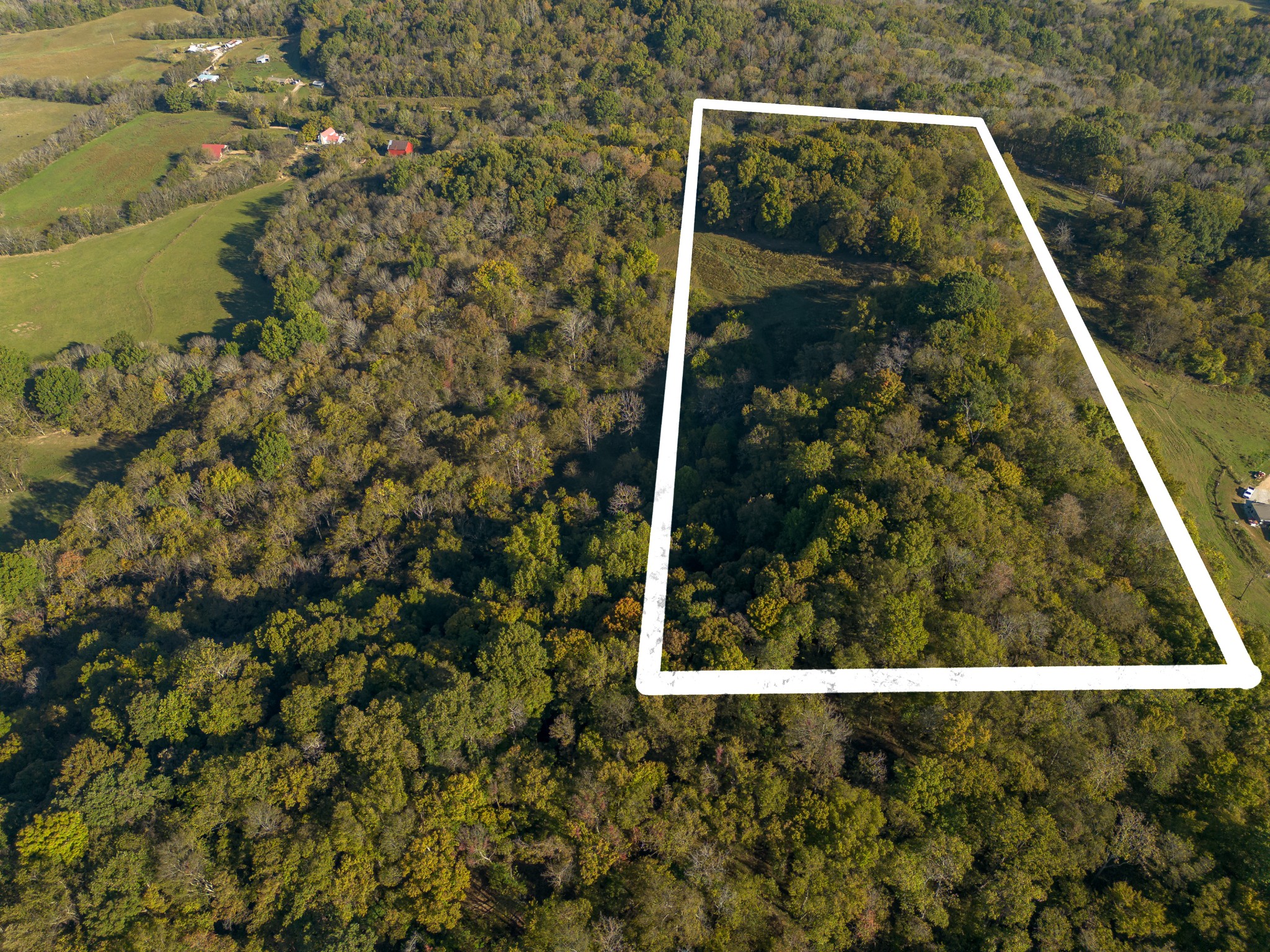 1 Booker Farm Road Mount Pleasant, TN 38474 - Photo 5 of 70 Gallery Image 5