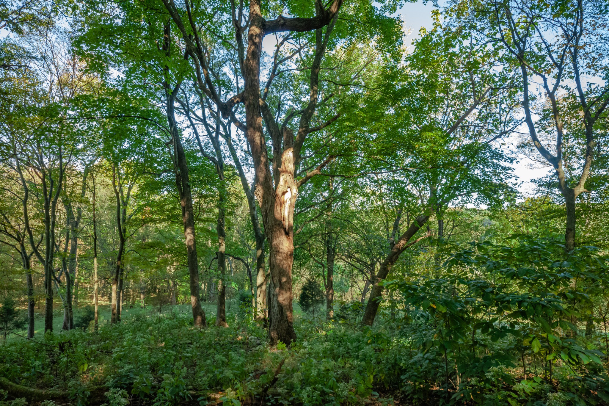 1 Booker Farm Road Mount Pleasant, TN 38474 - Photo 53 of 70 Gallery Image 53