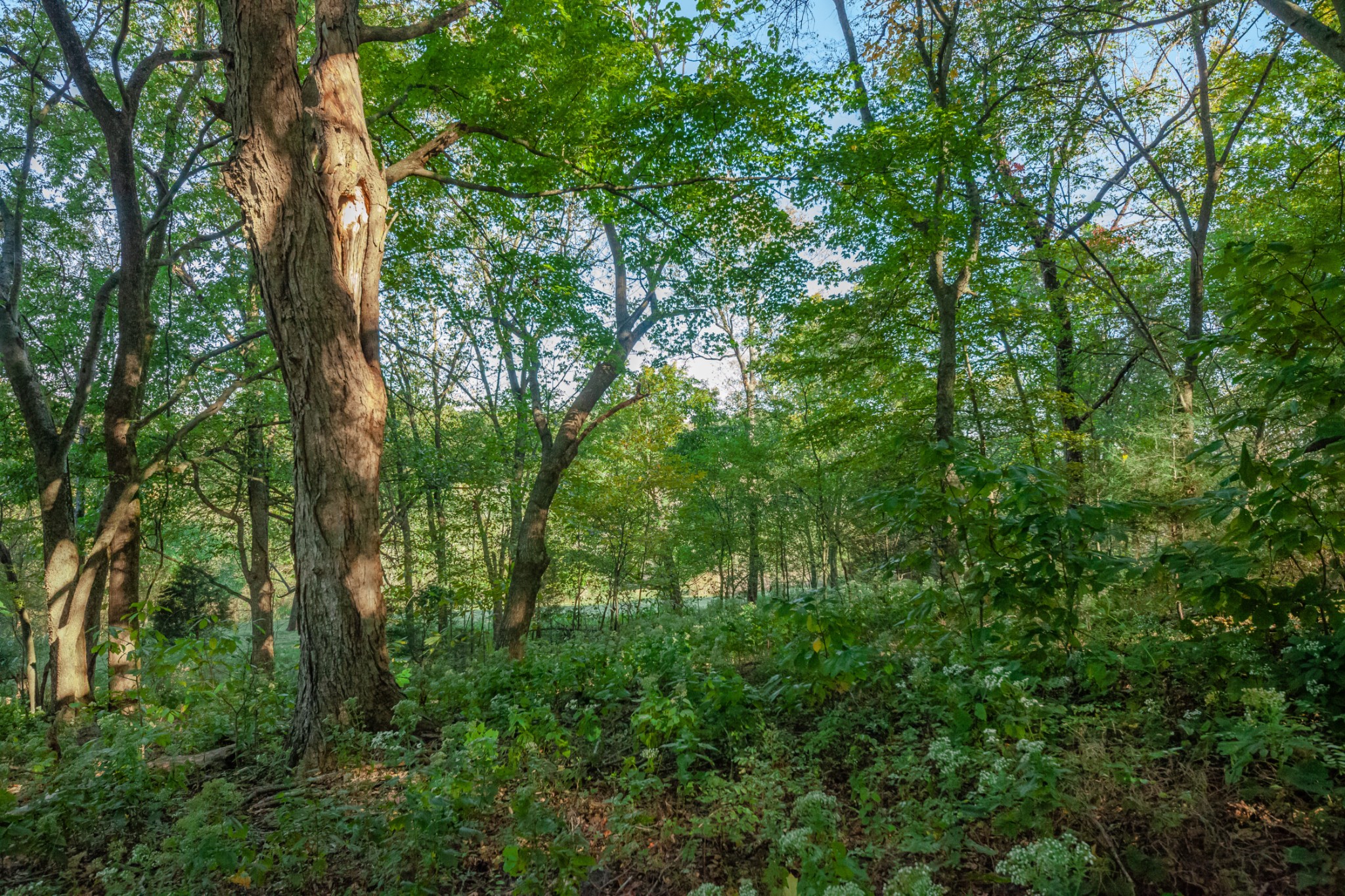 1 Booker Farm Road Mount Pleasant, TN 38474 - Photo 55 of 70 Gallery Image 55