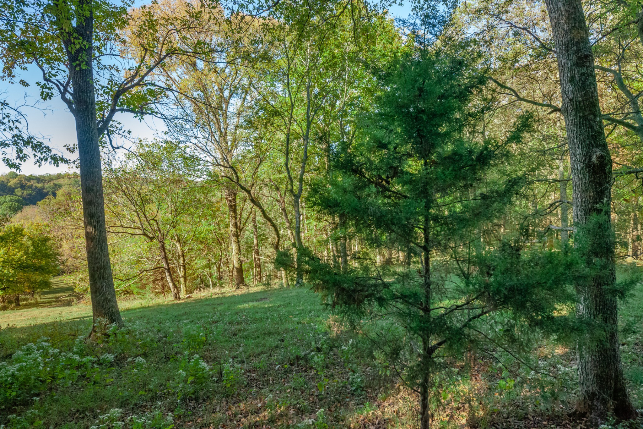 1 Booker Farm Road Mount Pleasant, TN 38474 - Photo 56 of 70 Gallery Image 56