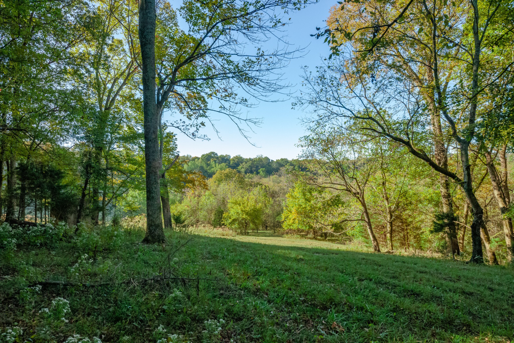 1 Booker Farm Road Mount Pleasant, TN 38474 - Photo 57 of 70 Gallery Image 57