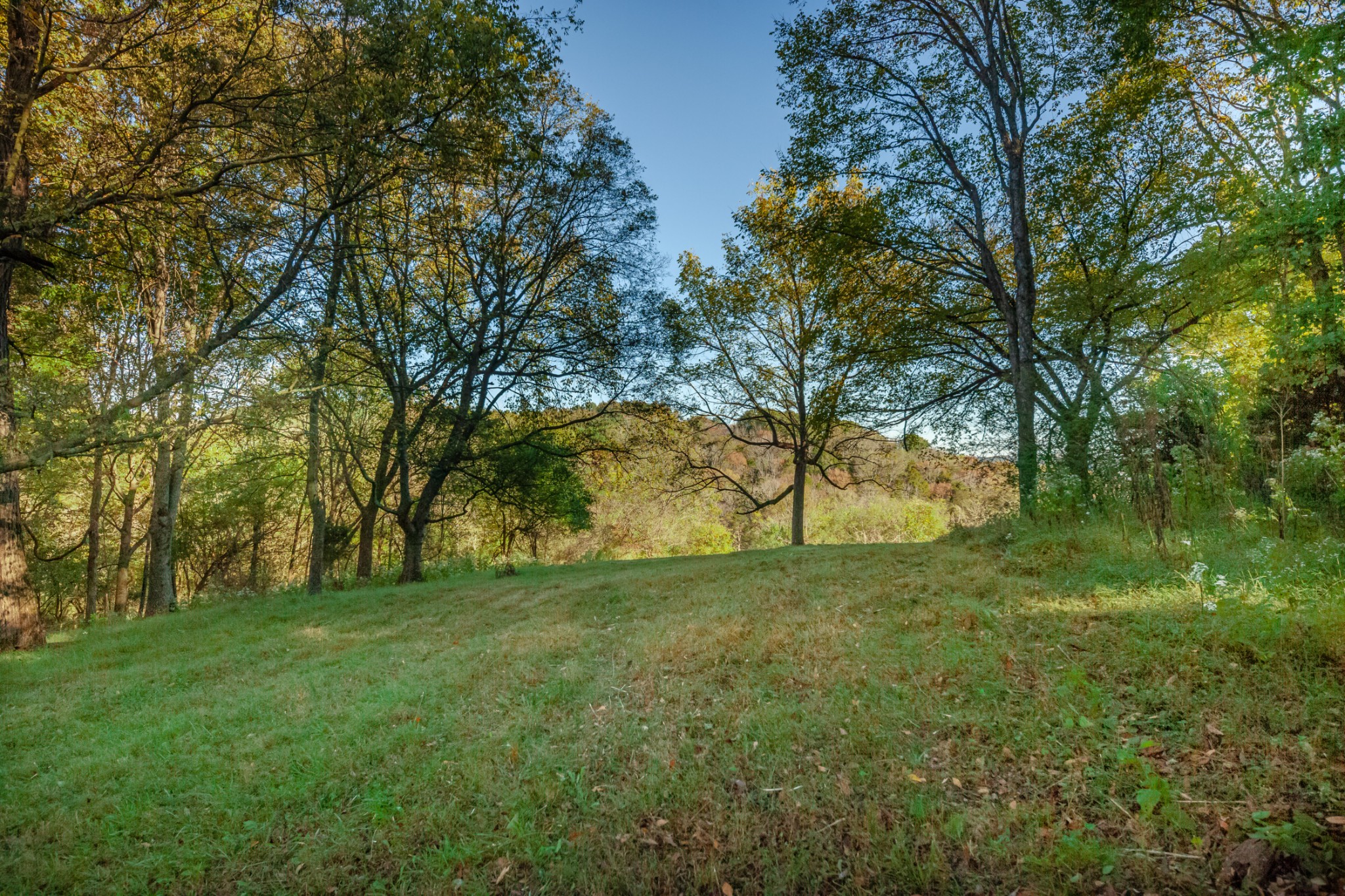 1 Booker Farm Road Mount Pleasant, TN 38474 - Photo 58 of 70 Gallery Image 58