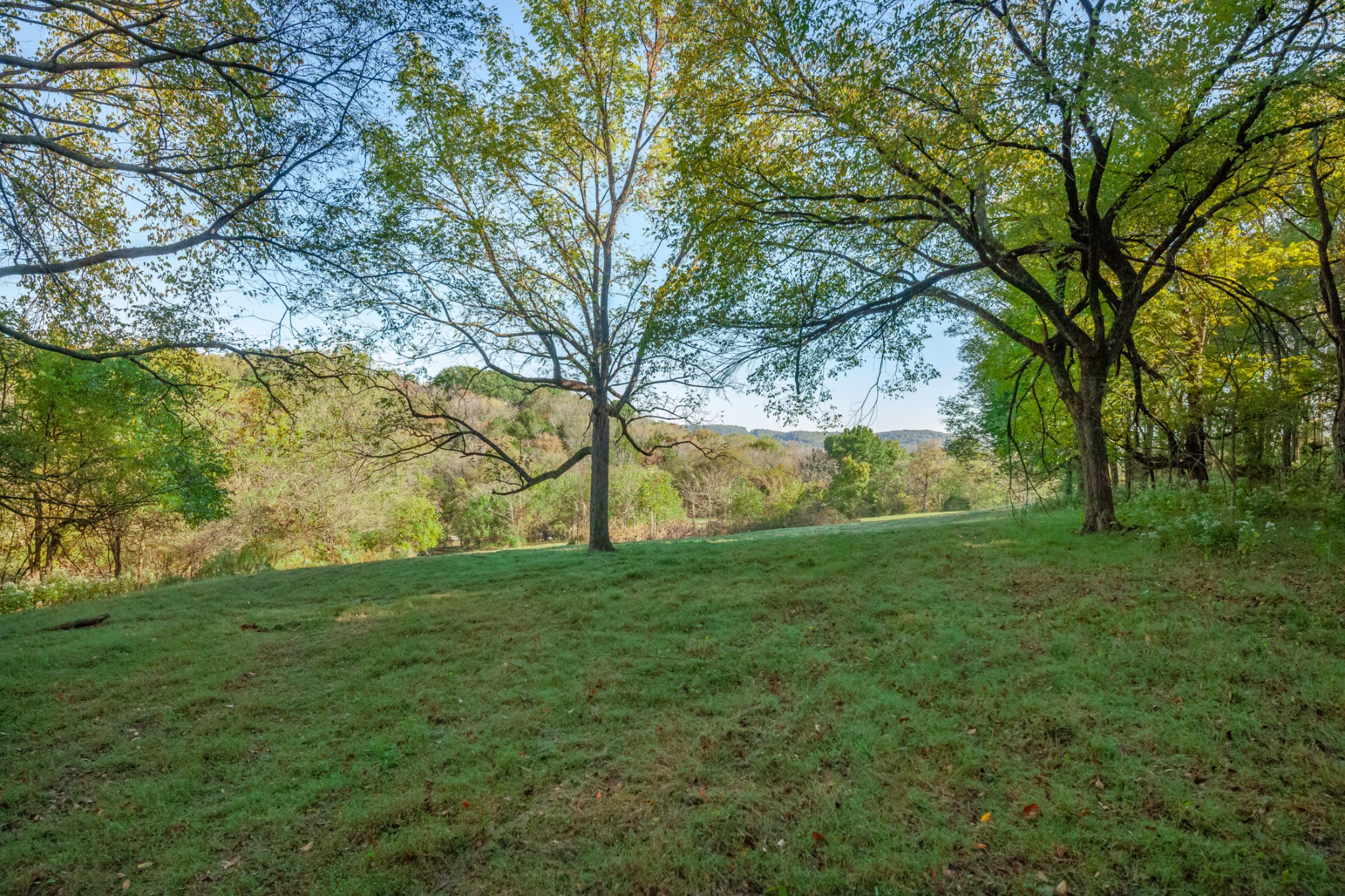 1 Booker Farm Road Mount Pleasant, TN 38474 - Photo 59 of 70 Gallery Image 59