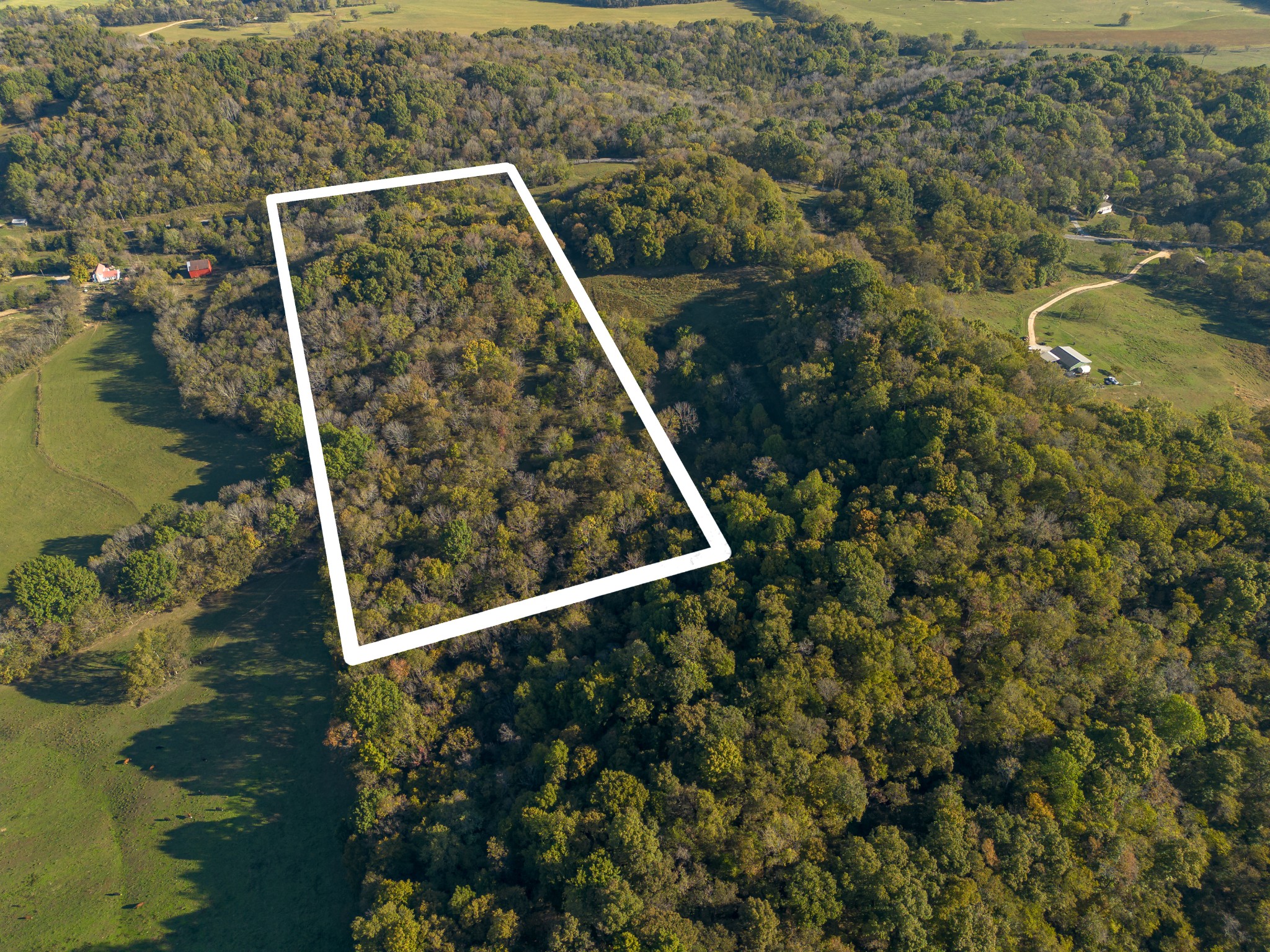 1 Booker Farm Road Mount Pleasant, TN 38474 - Photo 6 of 70 Gallery Image 6
