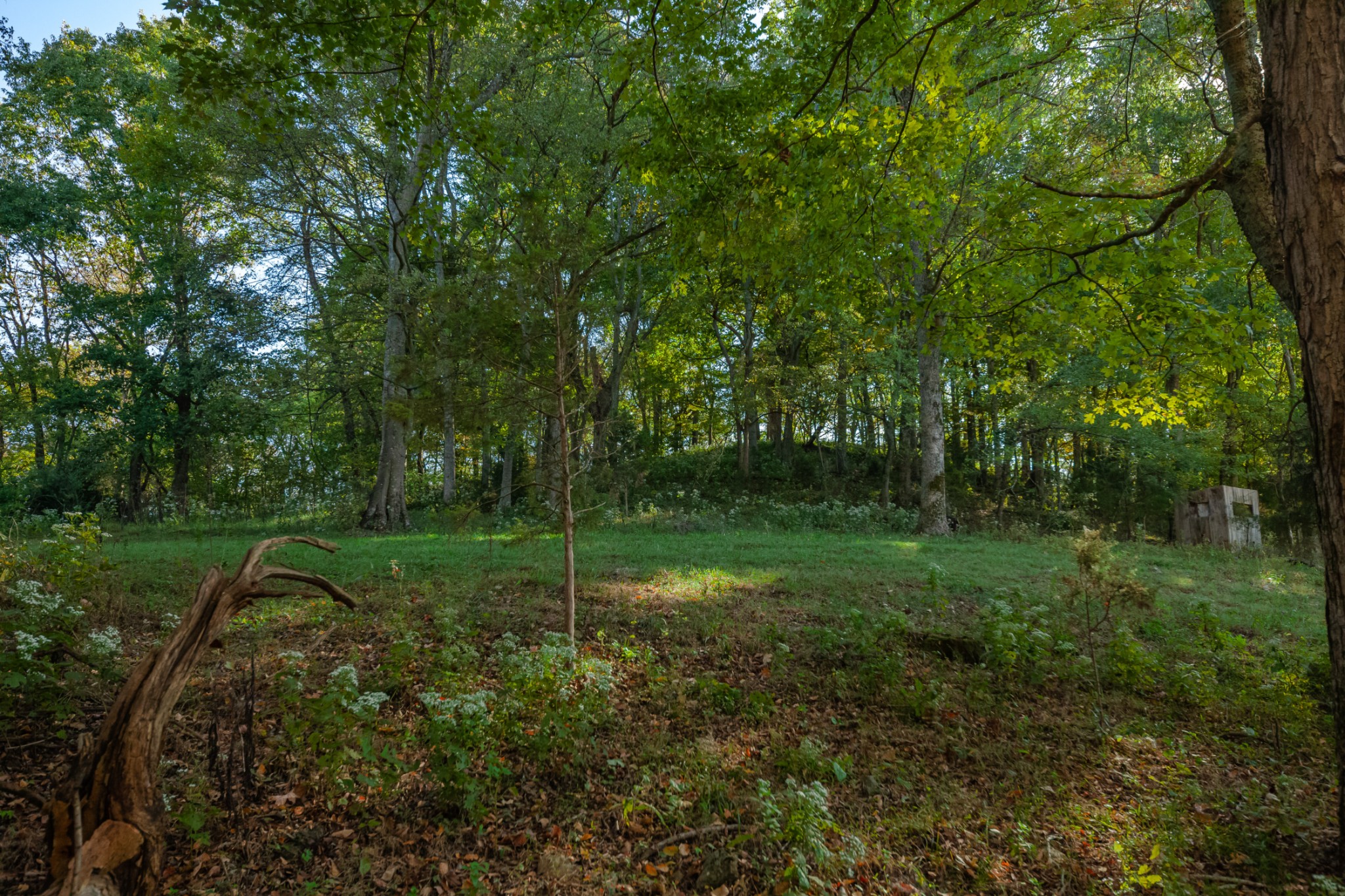 1 Booker Farm Road Mount Pleasant, TN 38474 - Photo 62 of 70 Gallery Image 62