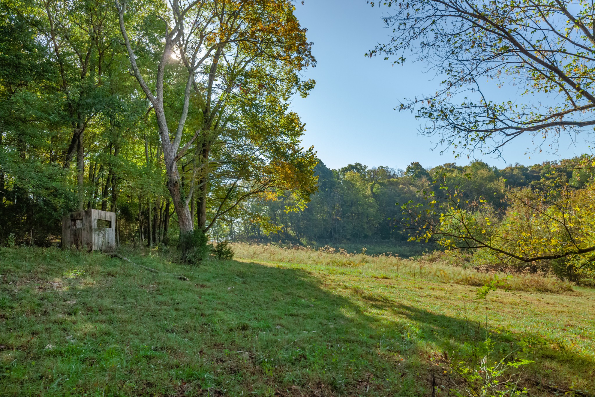 1 Booker Farm Road Mount Pleasant, TN 38474 - Photo 63 of 70 Gallery Image 63