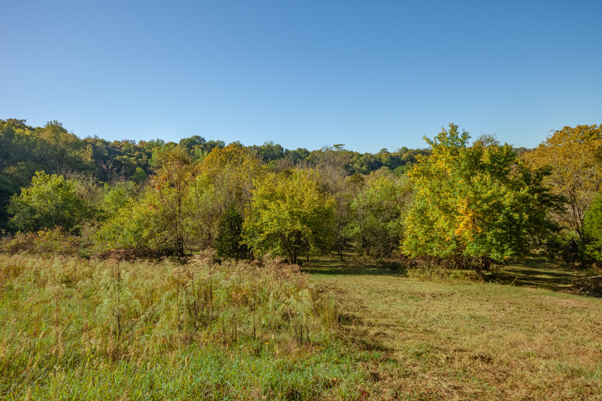 1 Booker Farm Road Mount Pleasant, TN 38474 - Photo 64 of 70 Gallery Image 64