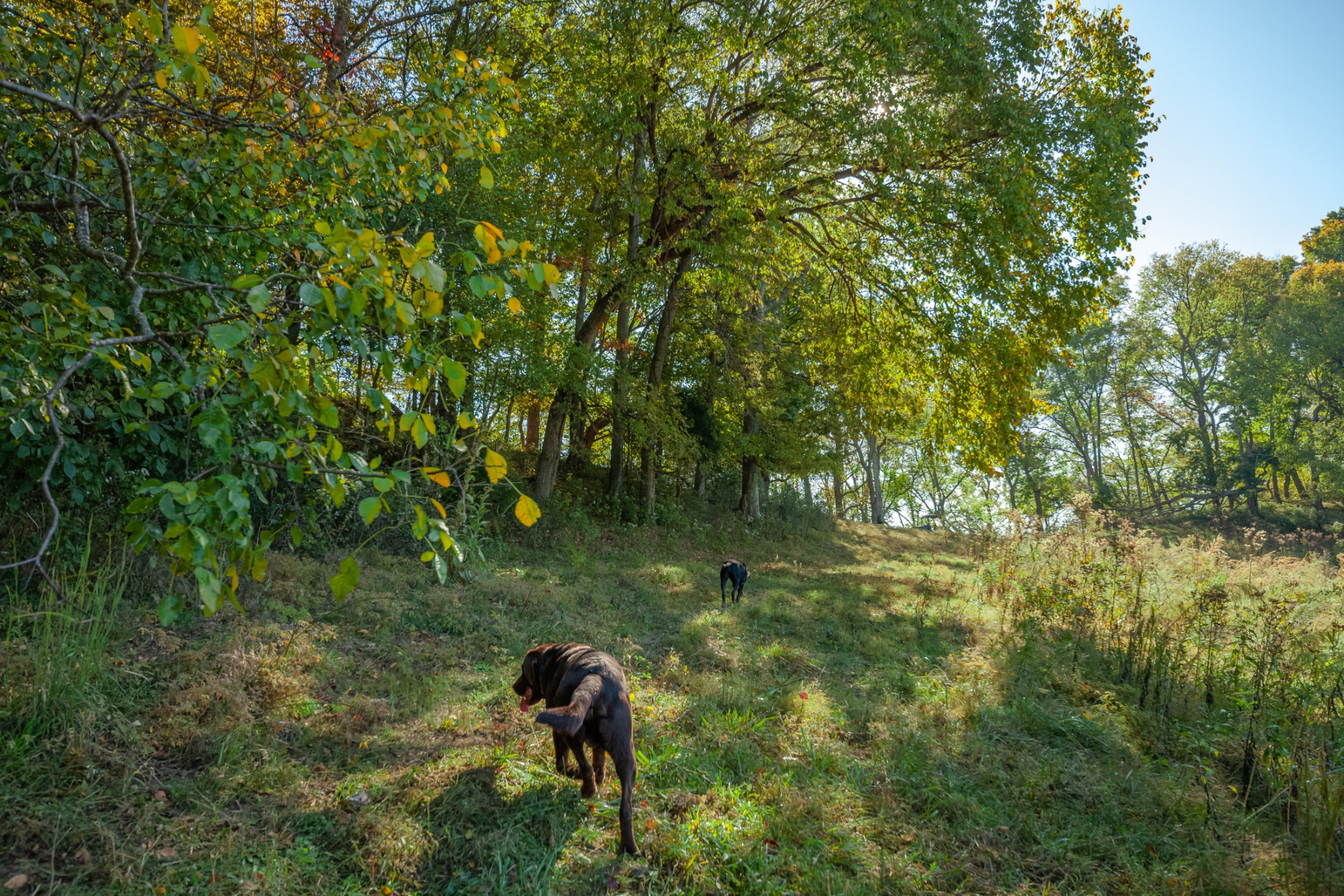 1 Booker Farm Road Mount Pleasant, TN 38474 - Photo 65 of 70 Gallery Image 65
