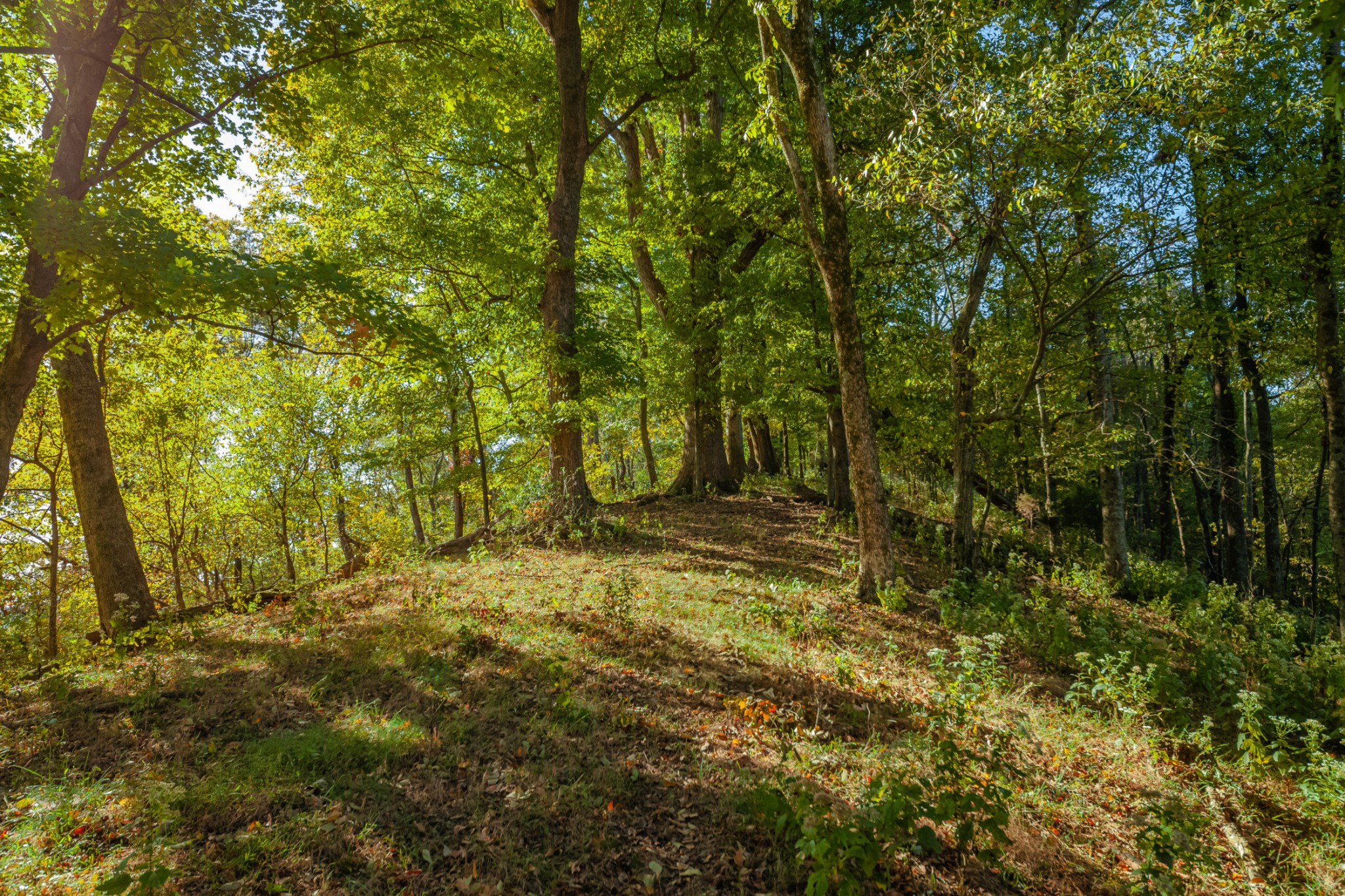 1 Booker Farm Road Mount Pleasant, TN 38474 - Photo 67 of 70 Gallery Image 67