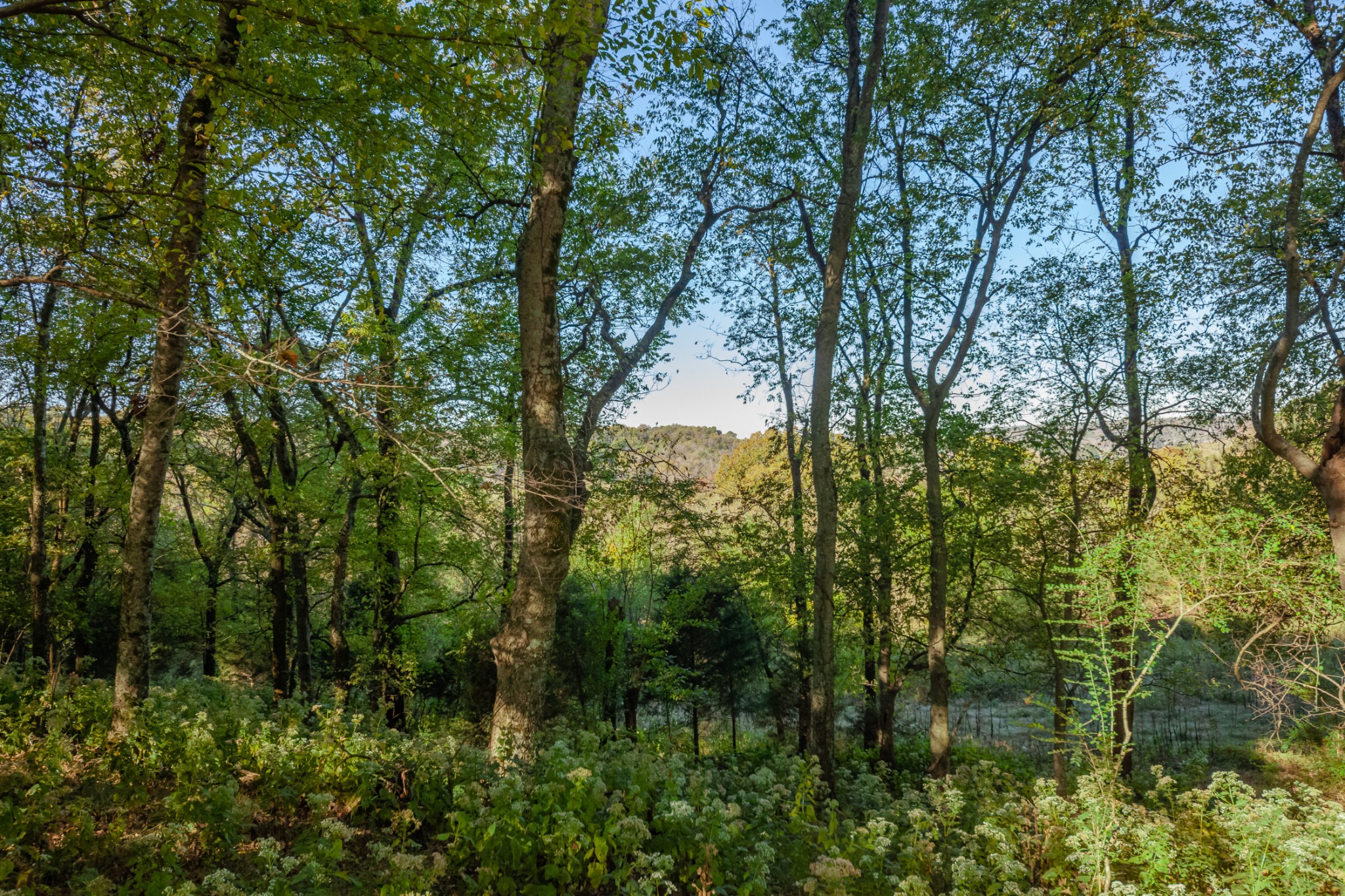1 Booker Farm Road Mount Pleasant, TN 38474 - Photo 68 of 70 Gallery Image 68
