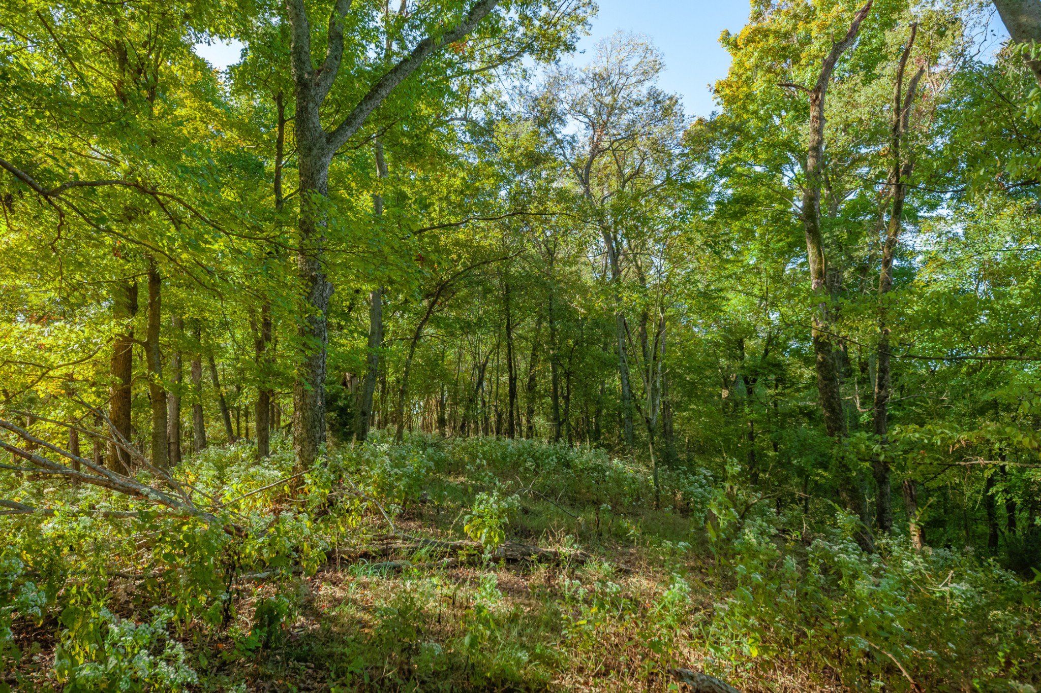 1 Booker Farm Road Mount Pleasant, TN 38474 - Photo 70 of 70 Gallery Image 70
