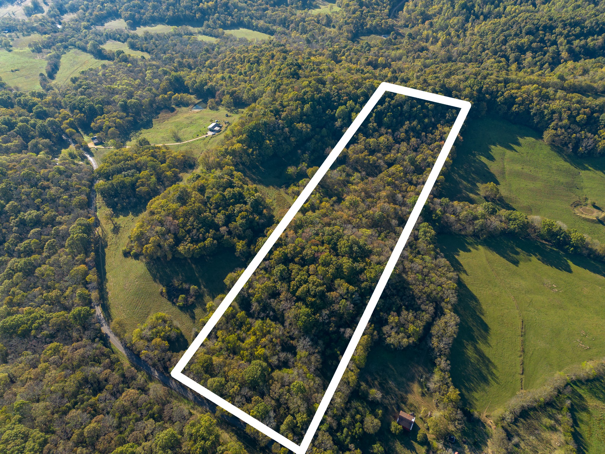 1 Booker Farm Road Mount Pleasant, TN 38474 - Photo 9 of 70 Gallery Image 9