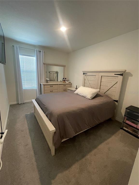 33762 Jasmine Star Loop Wesley Chapel, FL 33543 - Photo 12 of 21