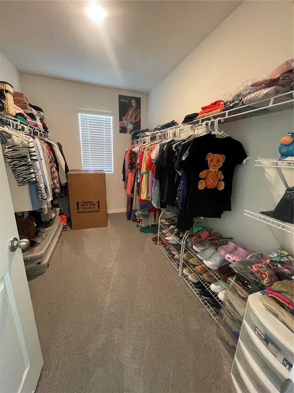 33762 Jasmine Star Loop Wesley Chapel, FL 33543 - Photo 17 of 21