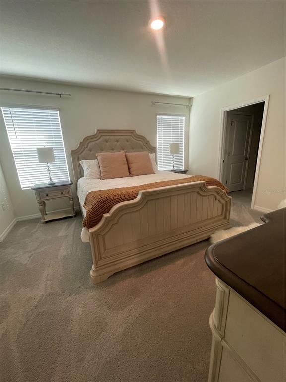 33762 Jasmine Star Loop Wesley Chapel, FL 33543 - Photo 18 of 21