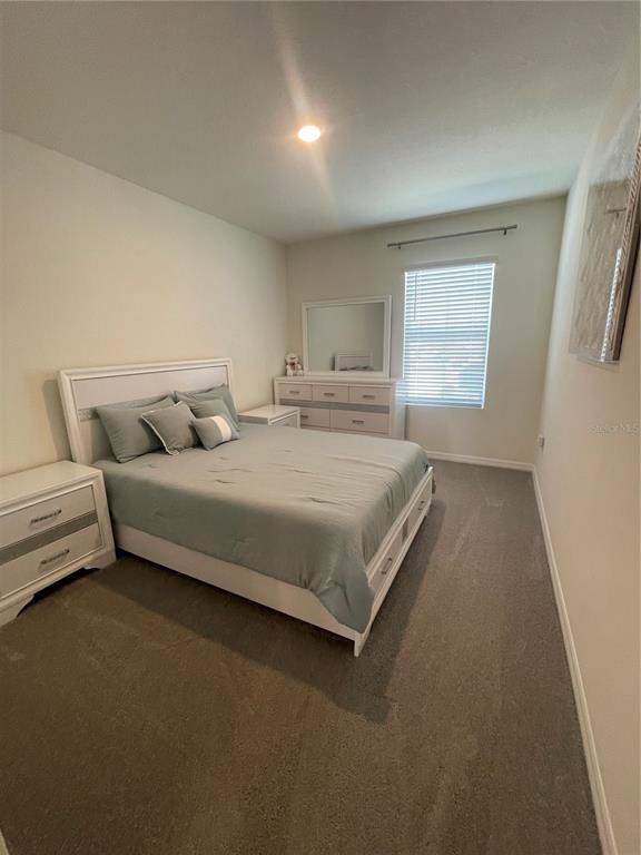 33762 Jasmine Star Loop Wesley Chapel, FL 33543 - Photo 6 of 21