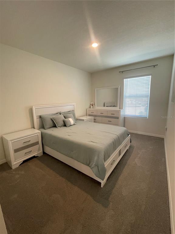 33762 Jasmine Star Loop Wesley Chapel, FL 33543 - Photo 9 of 21