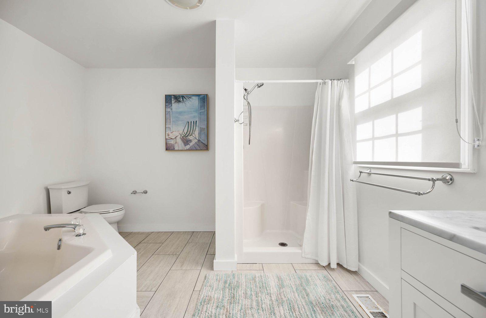 605 Twin Tree Road Ocean City, MD 21842 - Photo 24 of 46 Primary Bath