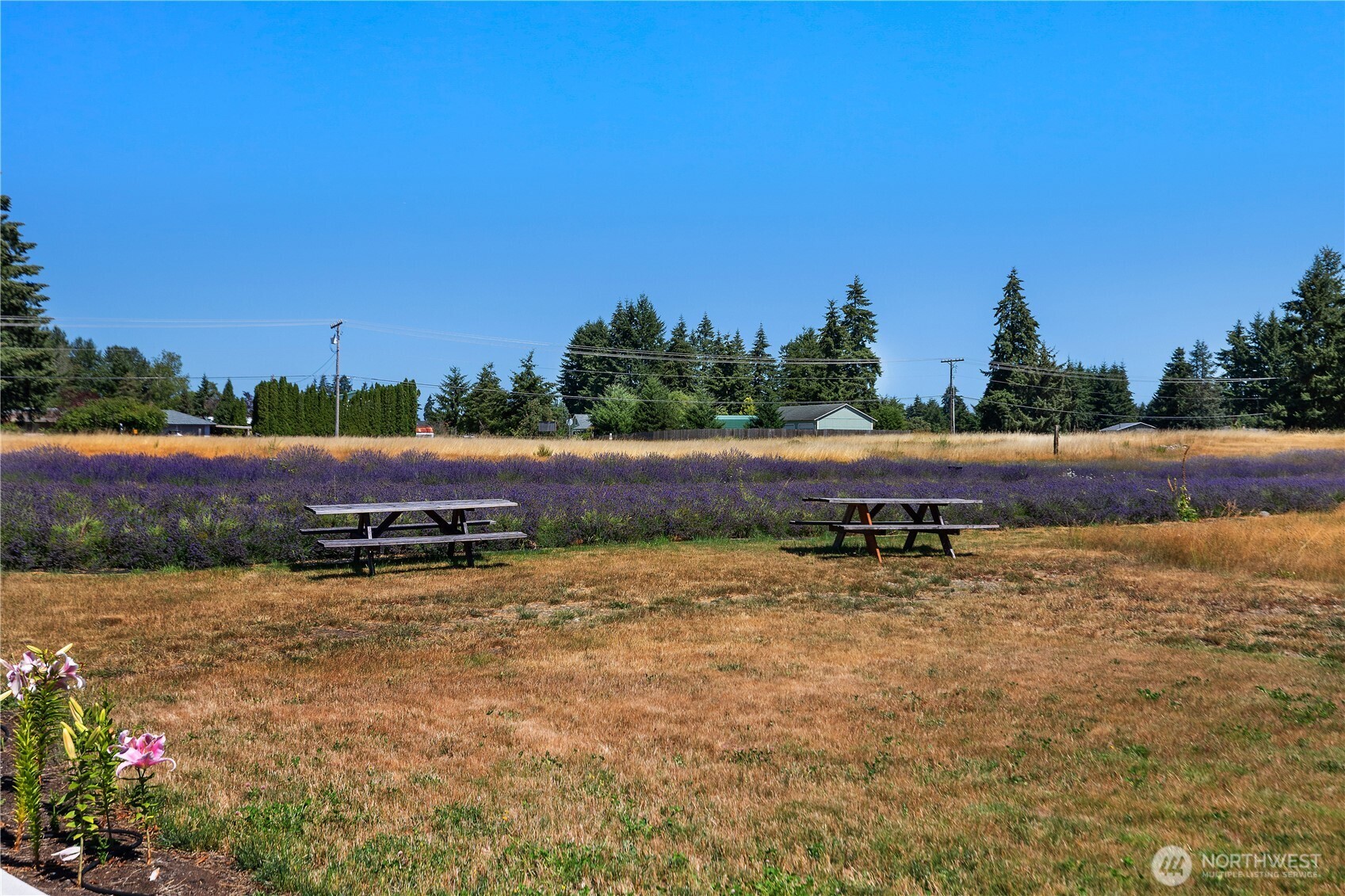 18507 Sargent Road Southwest Rochester, WA 98579 - Photo 25 of 33 Gallery Image 25