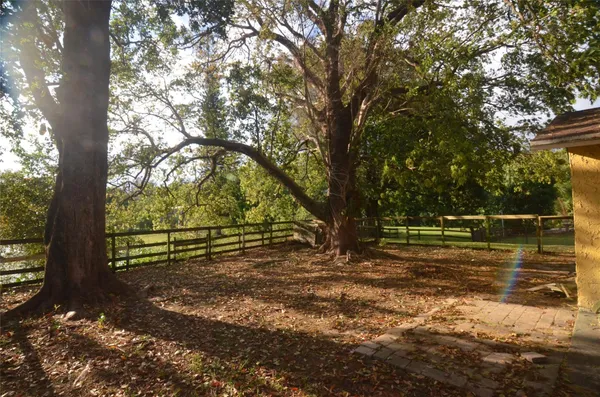 a view of dirt yard with a large trees