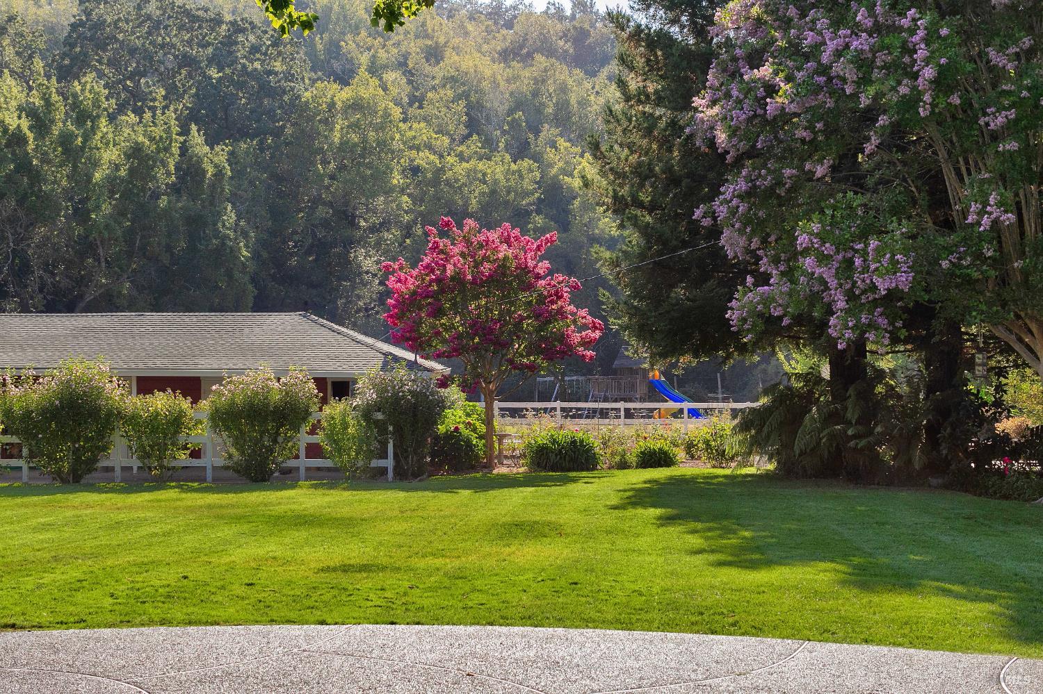 1321 Butterfield Road San Anselmo, CA 94960 - Photo 3 of 37