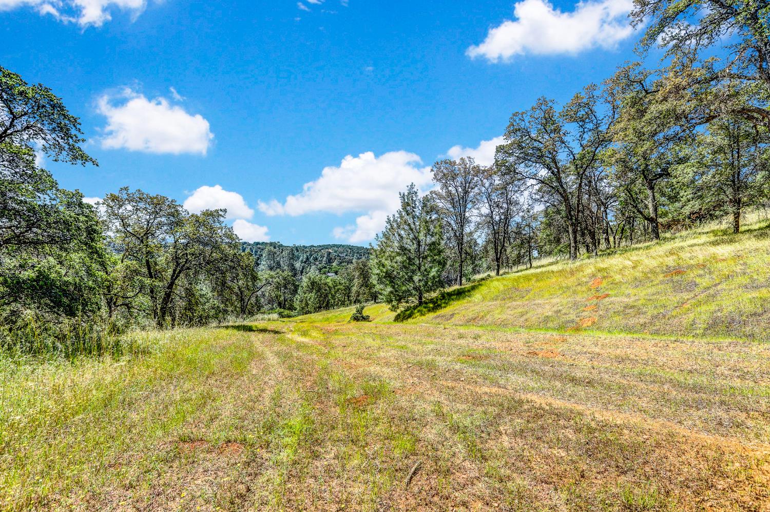 29 Township Road Browns Valley, CA 95918 - Photo 15 of 62 Gallery Image 15