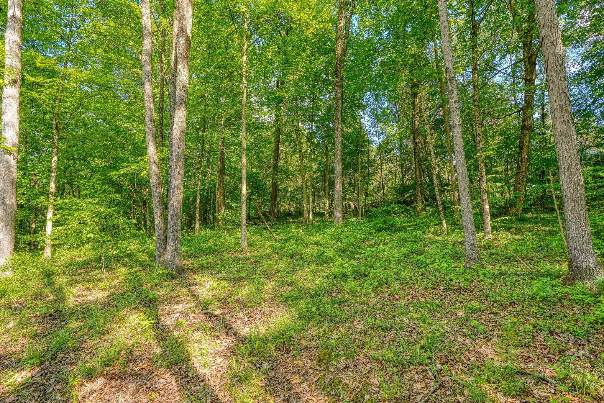 7118 Mt Tabor Road Chillicothe, OH 45601 - Photo 42 of 45 7118 Mt Tabor Rd (14)