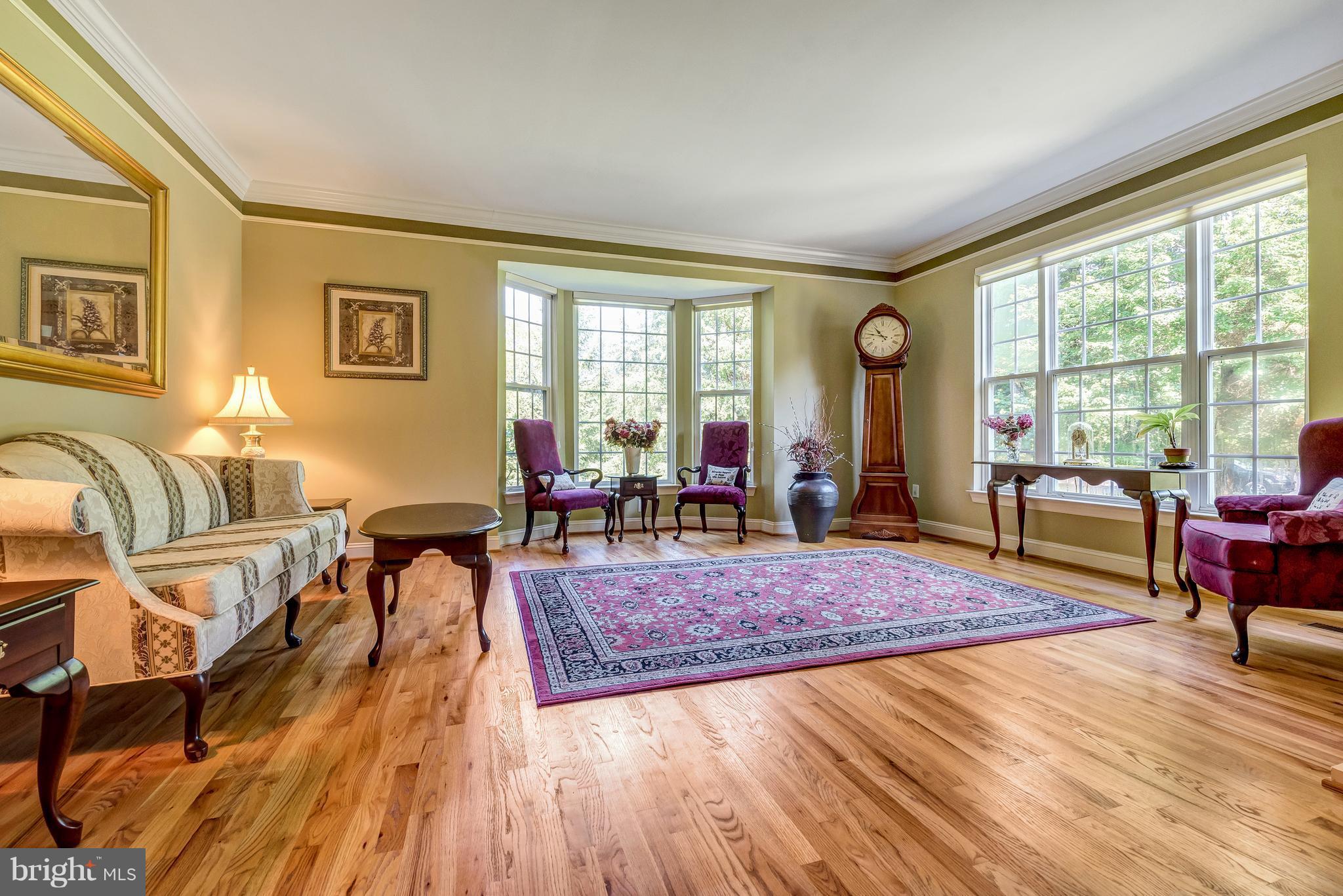 8306 Brink Road Laytonsville, MD 20882 - Photo 11 of 30 Gorgeous living room