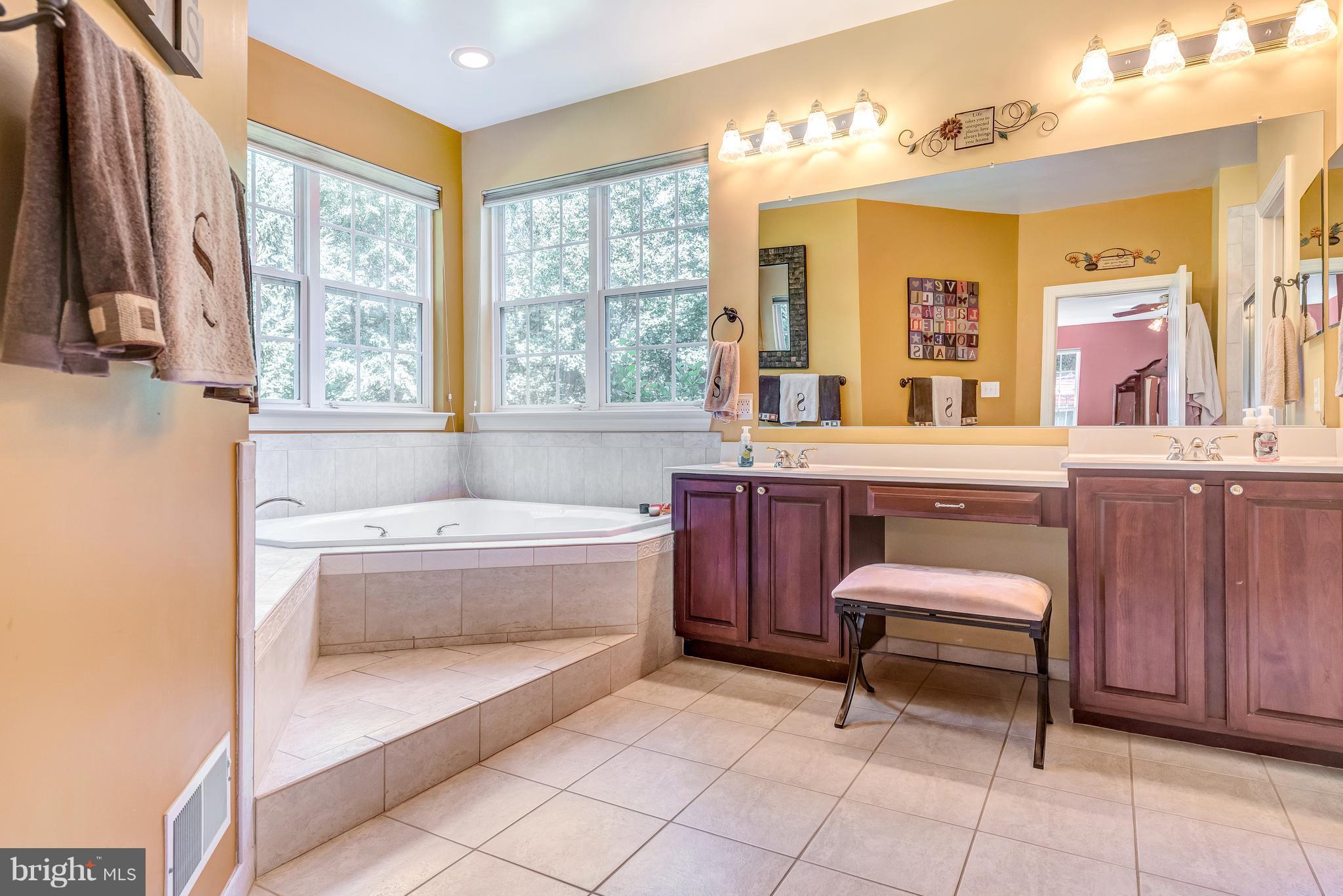 8306 Brink Road Laytonsville, MD 20882 - Photo 16 of 30 Mater bath with soaking tub