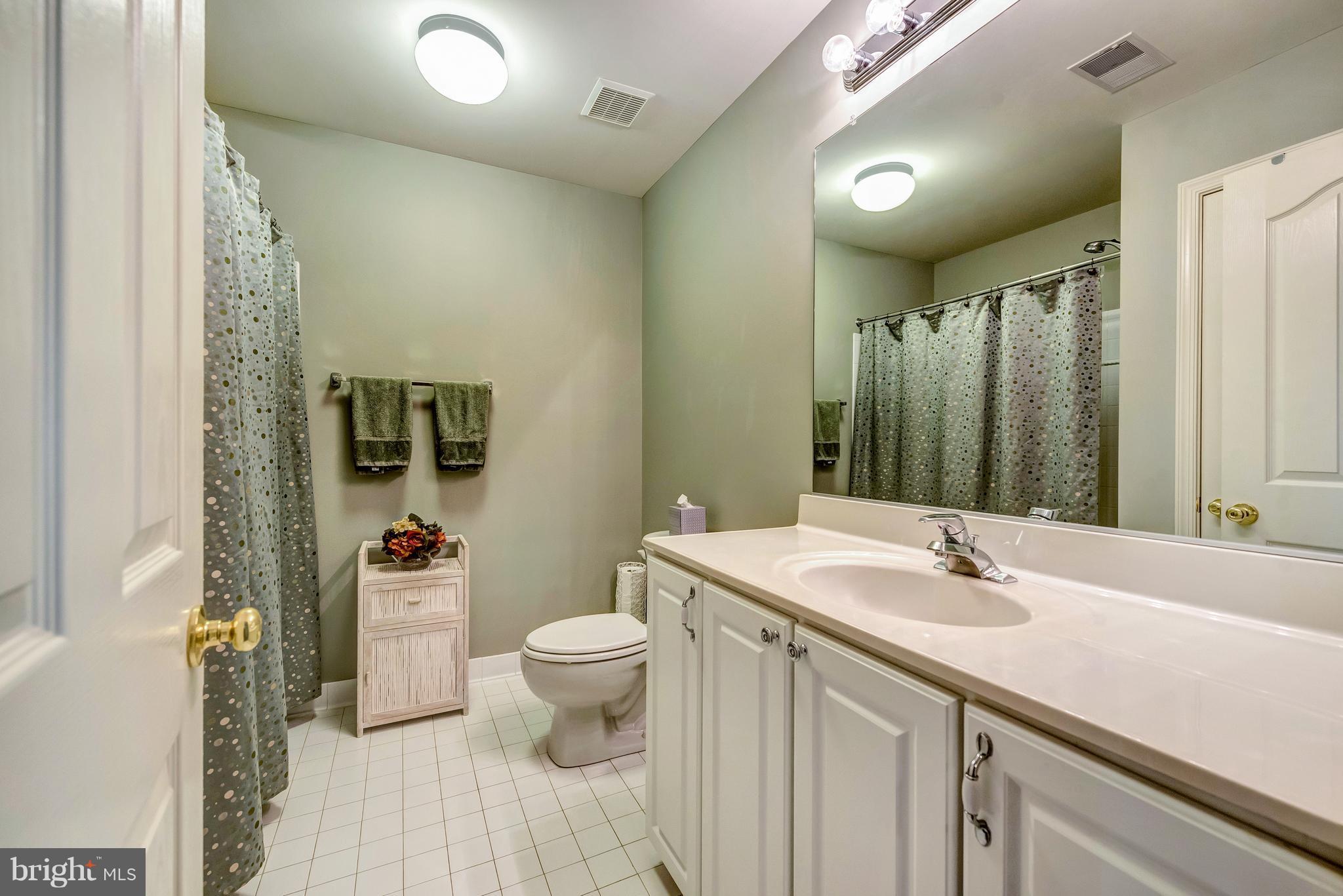 8306 Brink Road Laytonsville, MD 20882 - Photo 19 of 30 Master bath #2