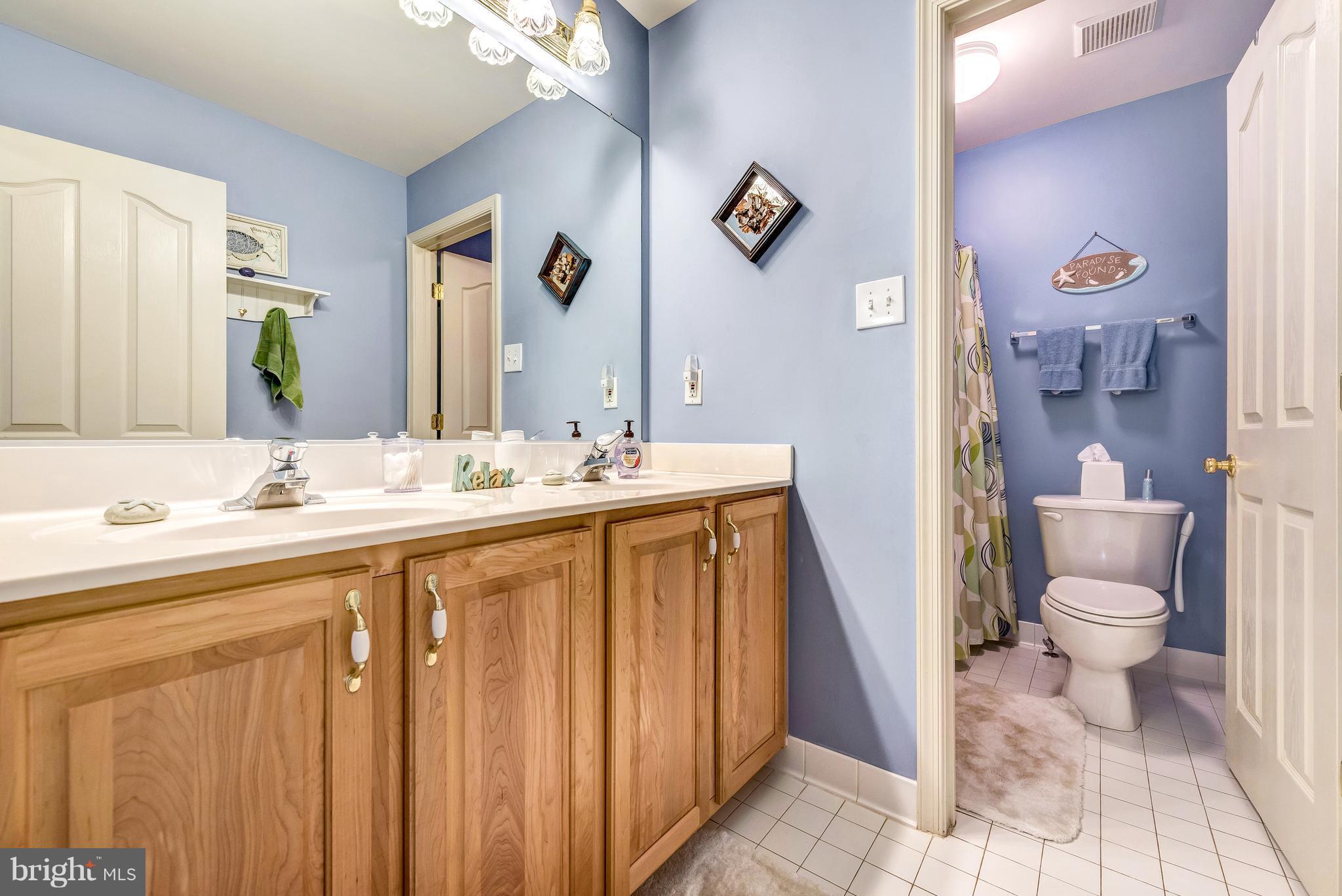 8306 Brink Road Laytonsville, MD 20882 - Photo 23 of 30 Upstairs hall bath with double sink